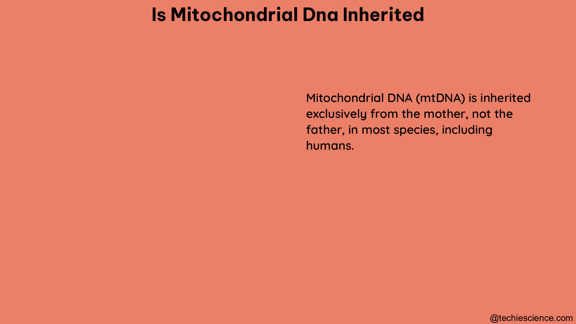 is mitochondrial dna inherited