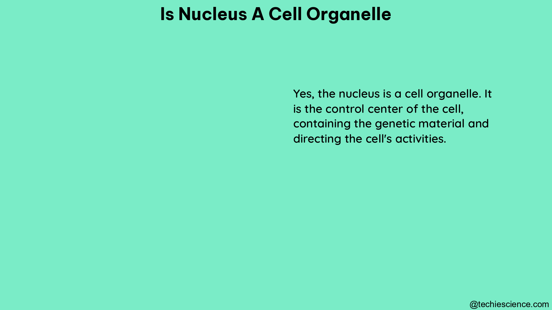 is nucleus a cell organelle