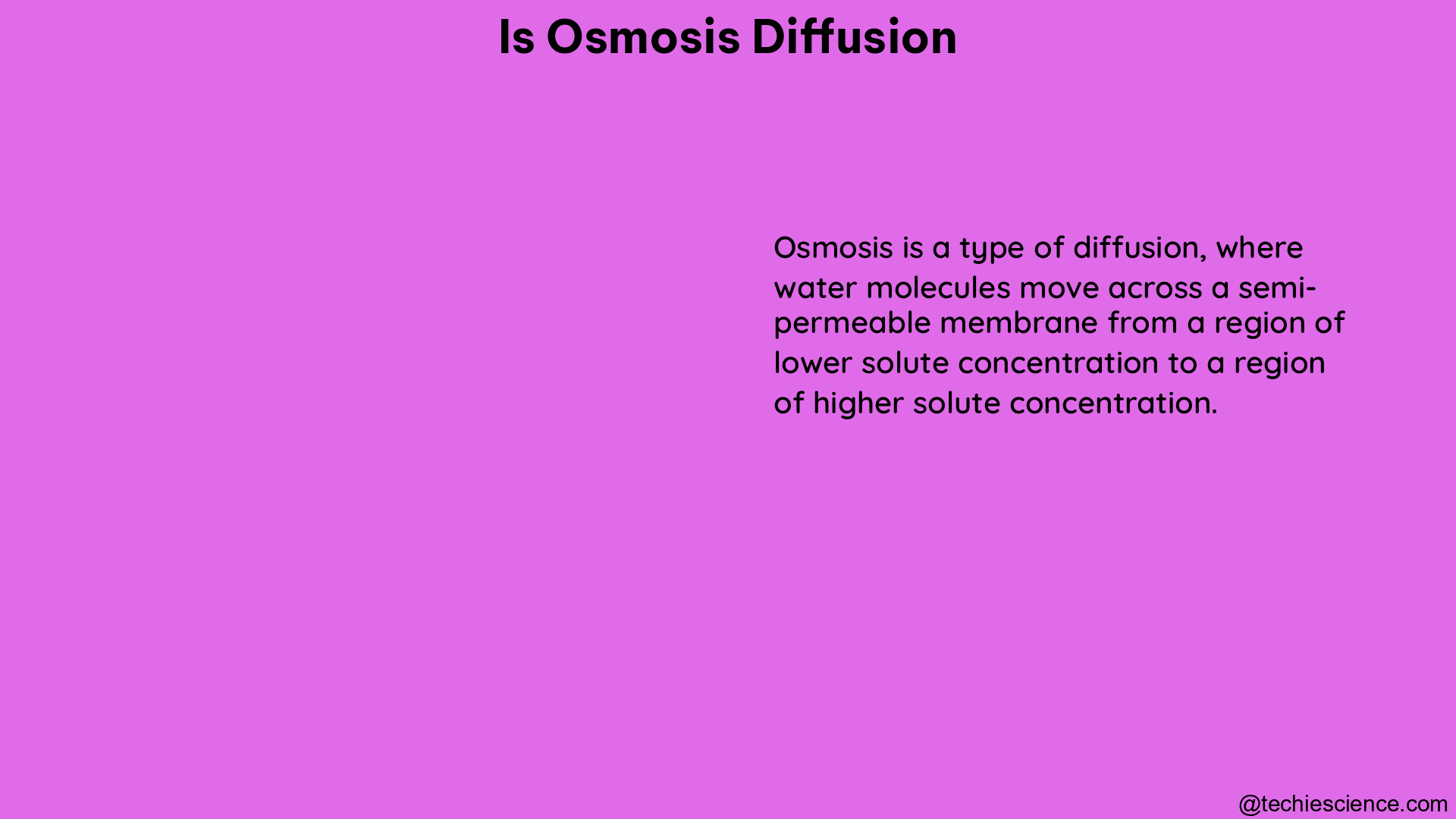 is osmosis diffusion