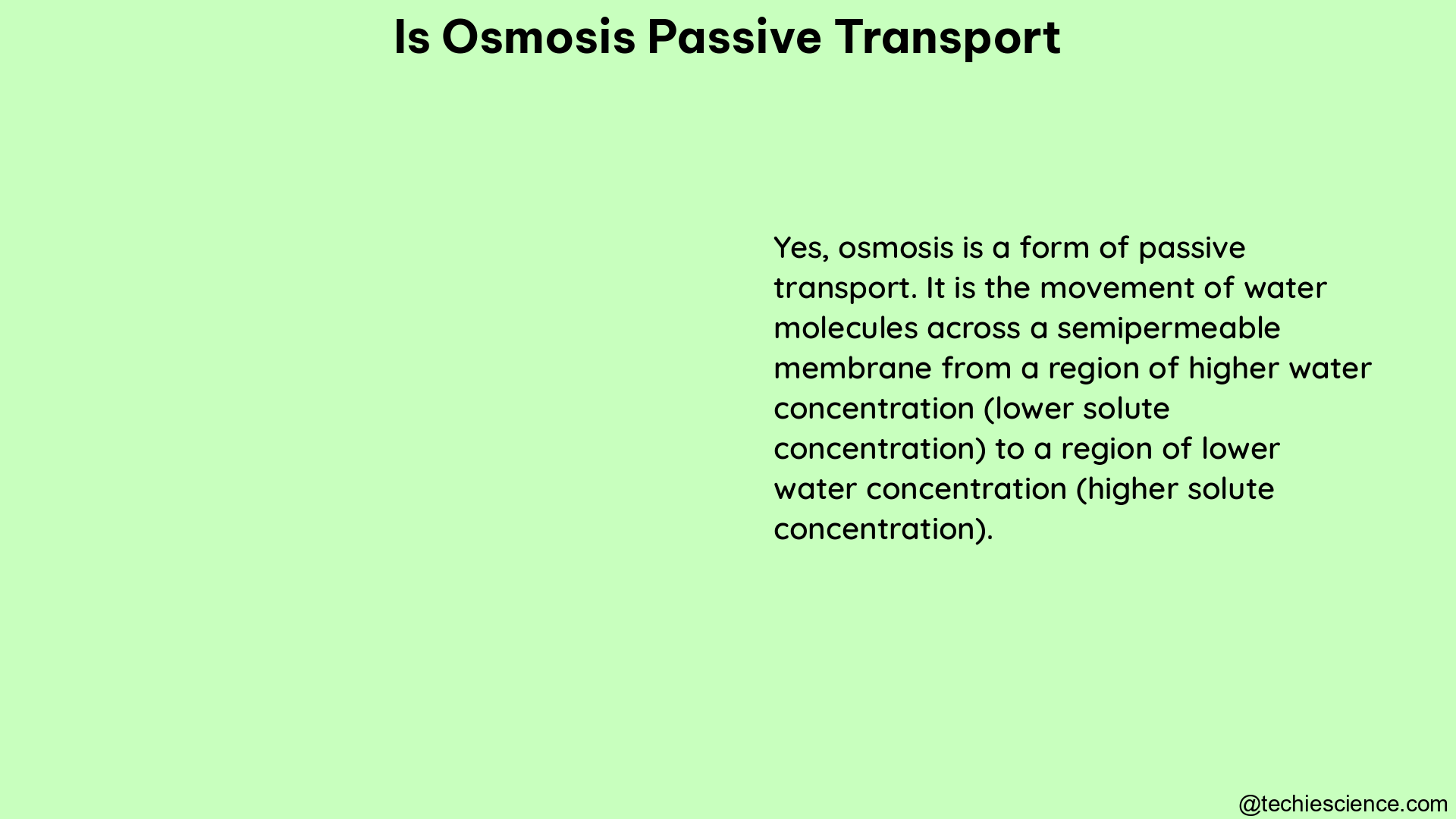 is osmosis passive transport