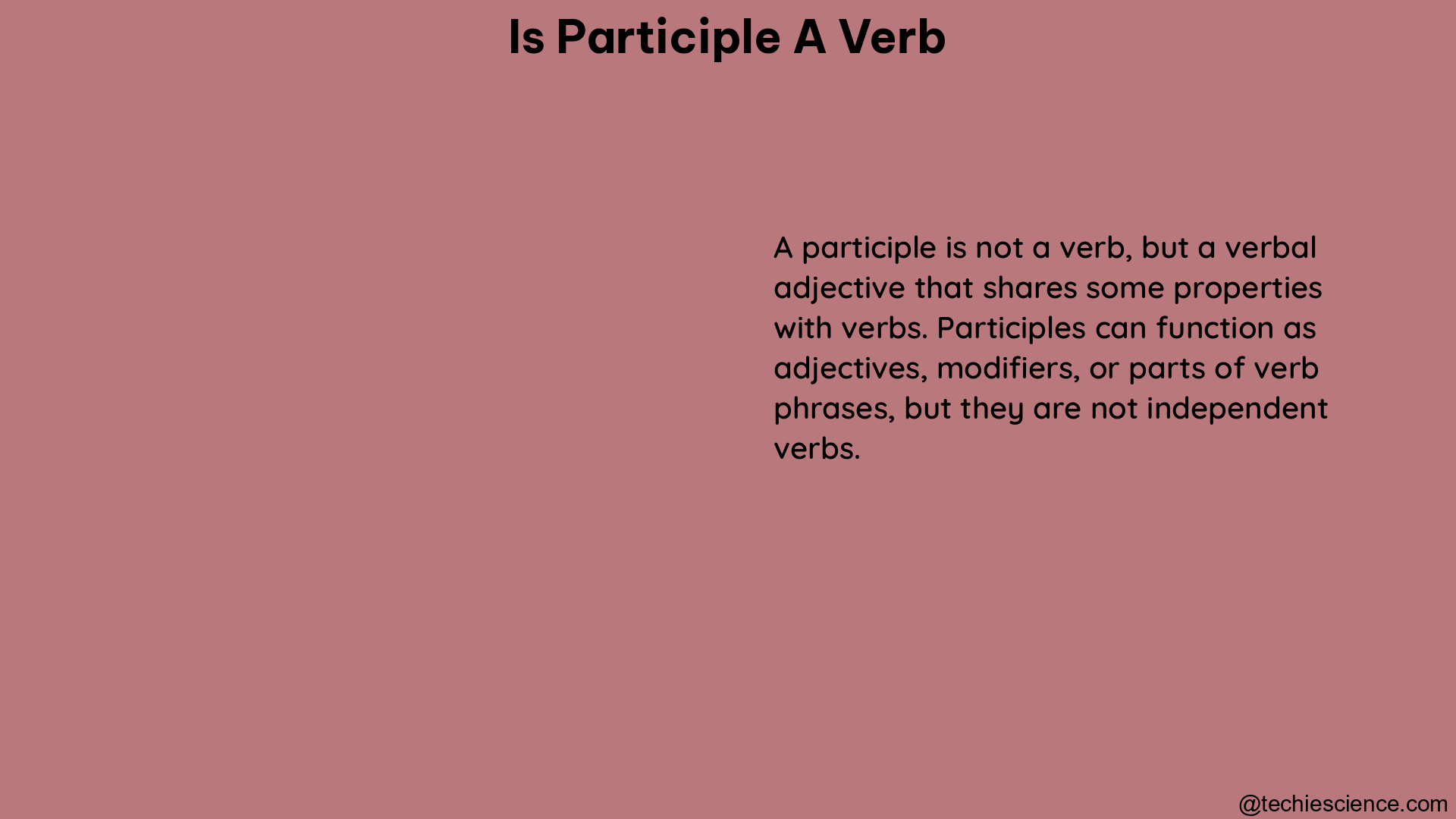 is participle a verb