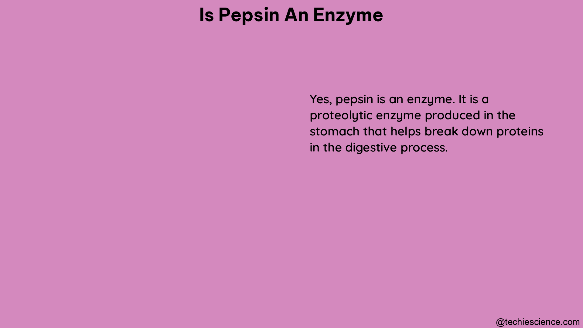 is pepsin an enzyme