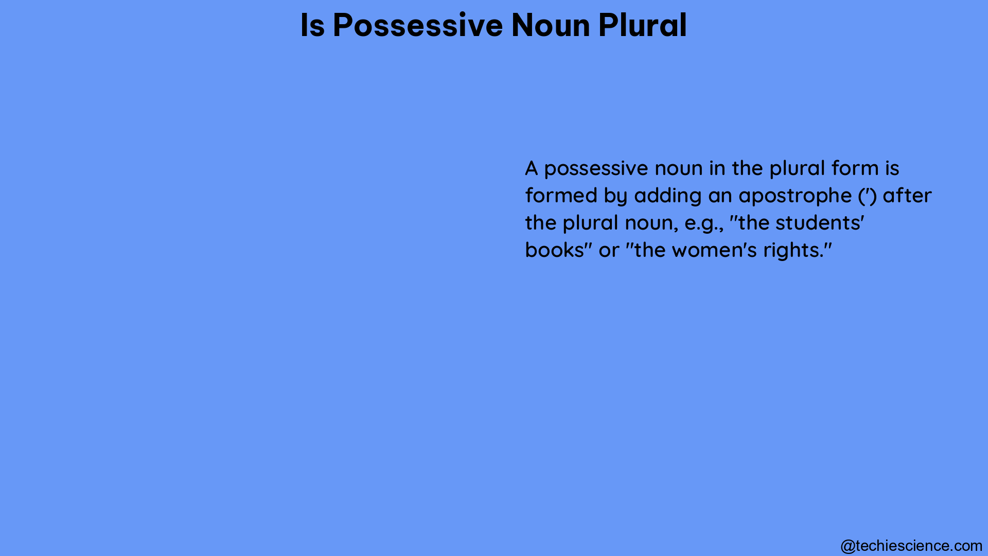 is possessive noun plural