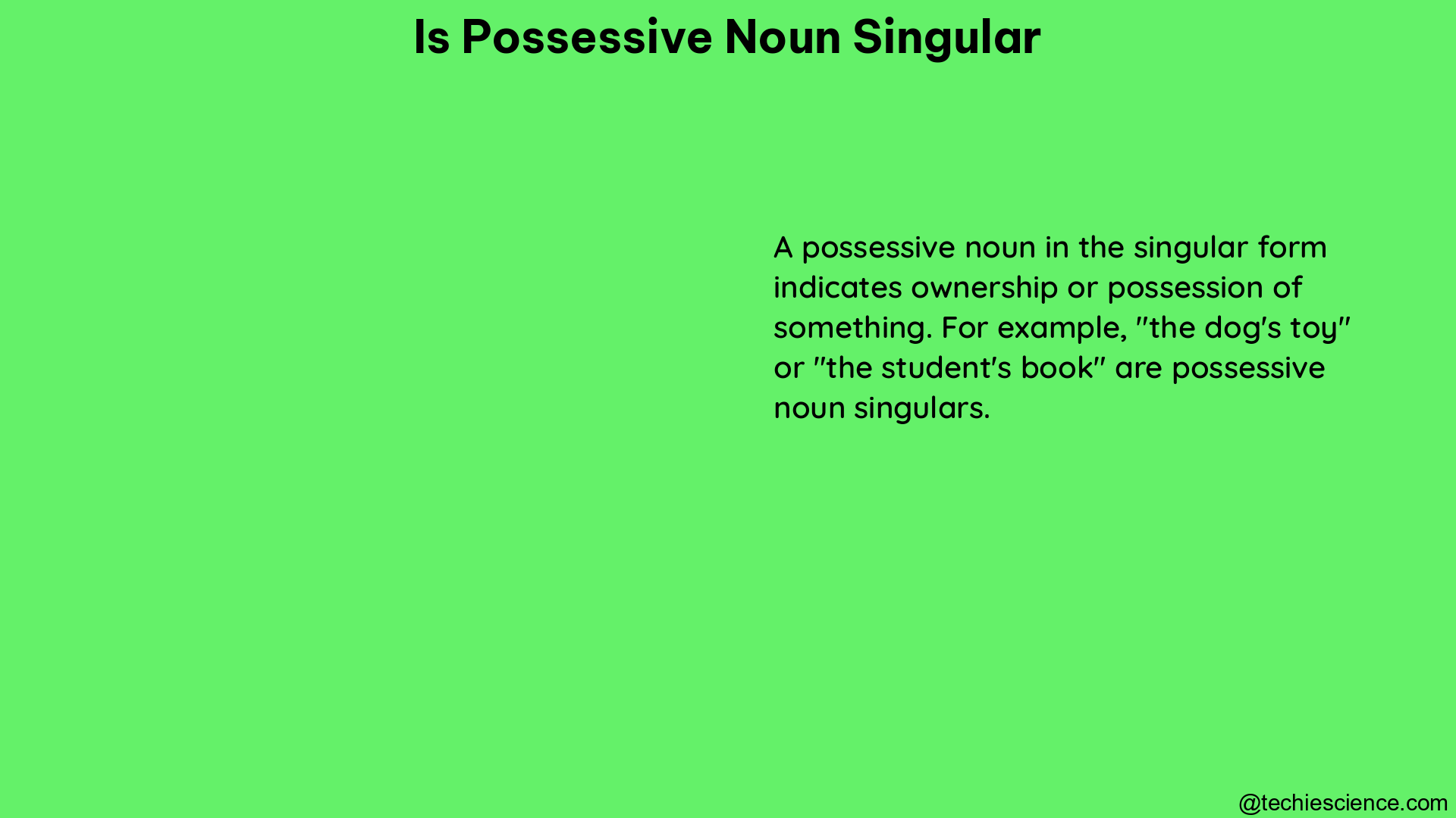 is possessive noun singular