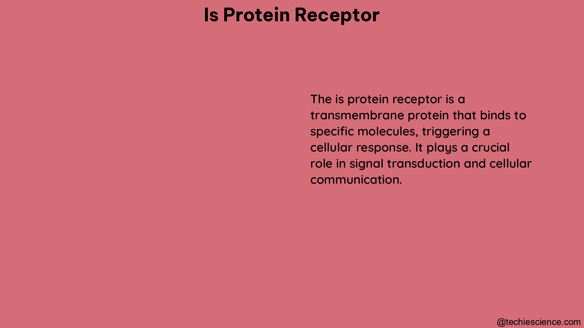 is protein receptor