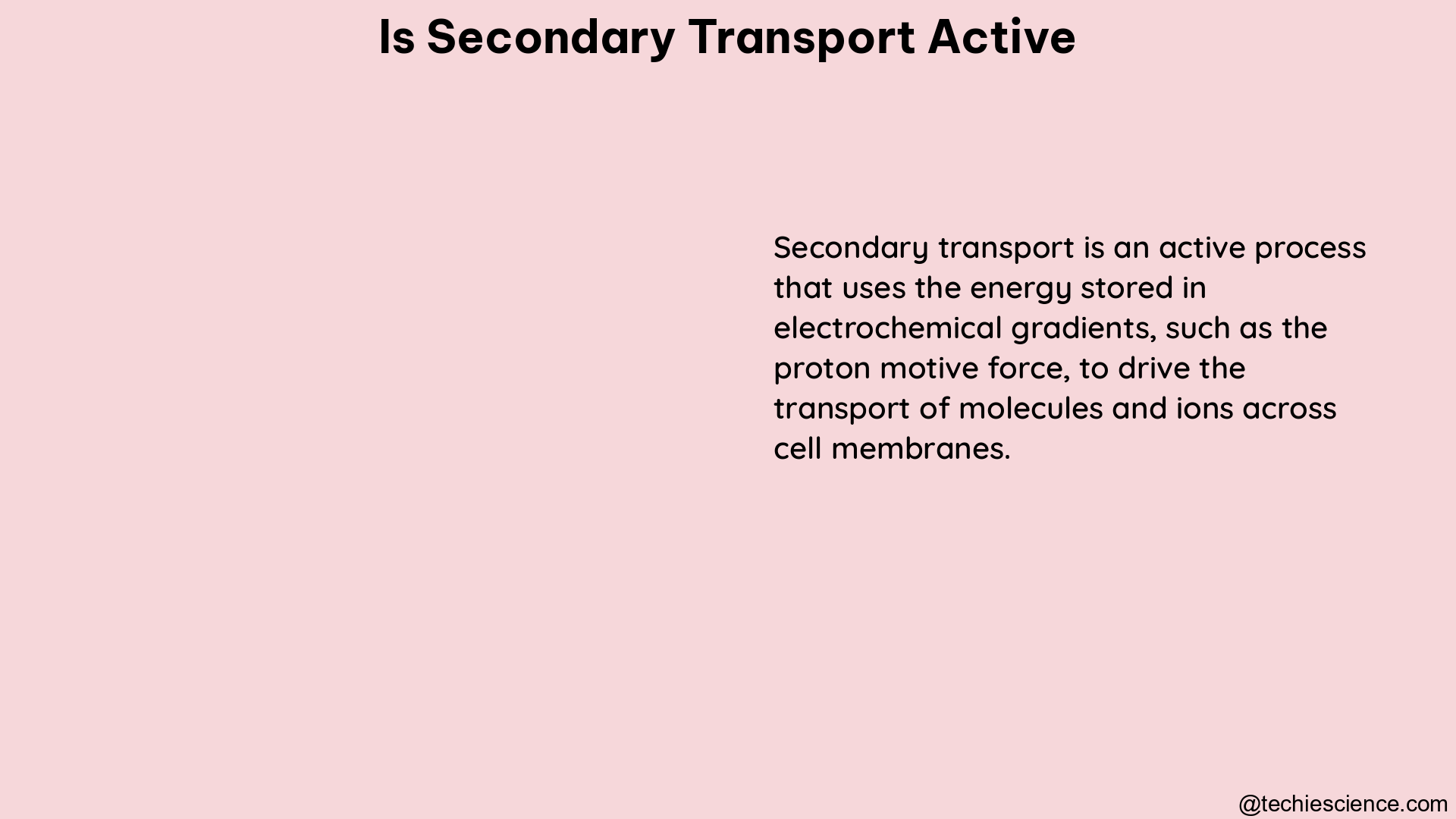 is secondary transport active