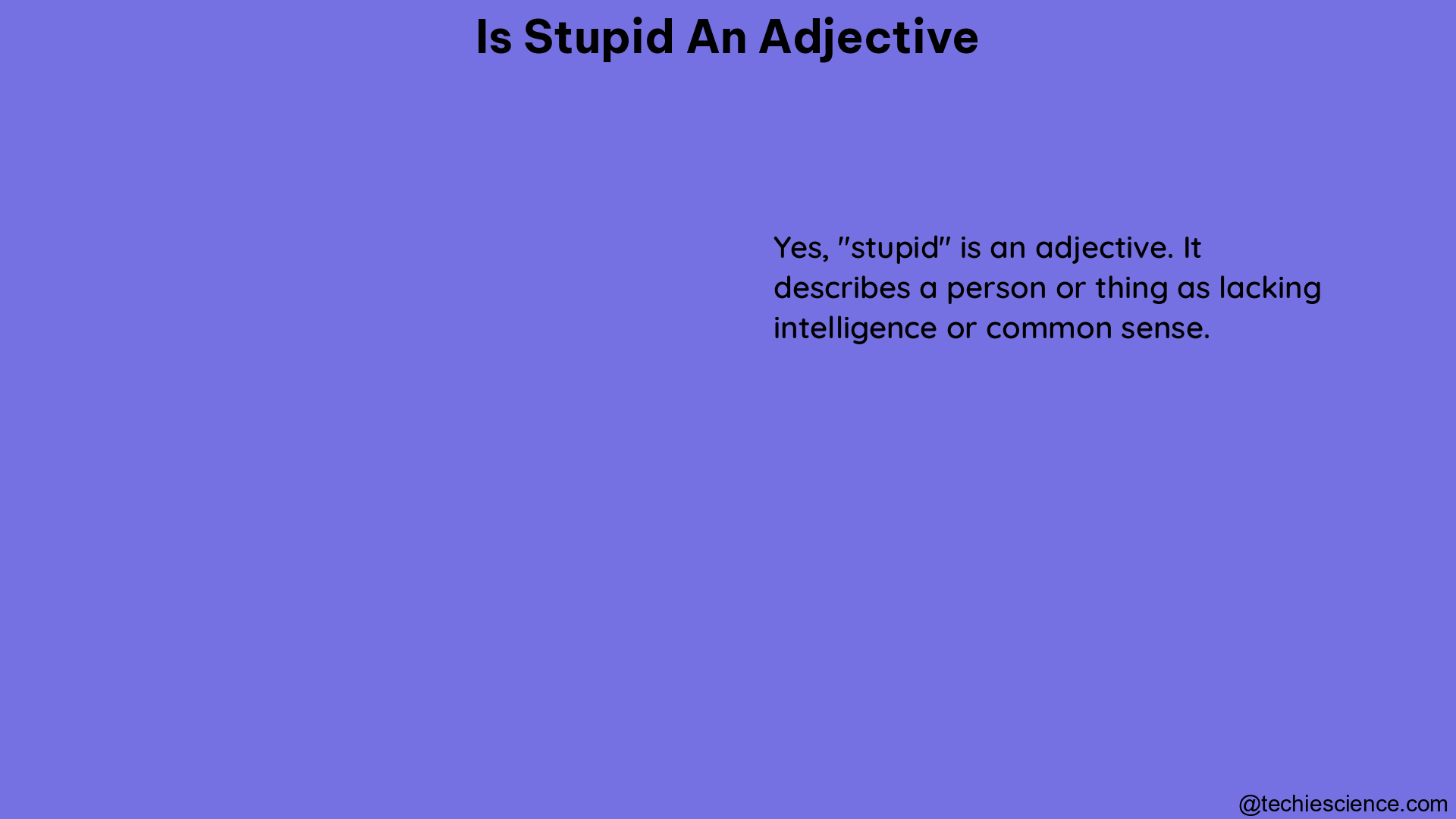 is stupid an adjective