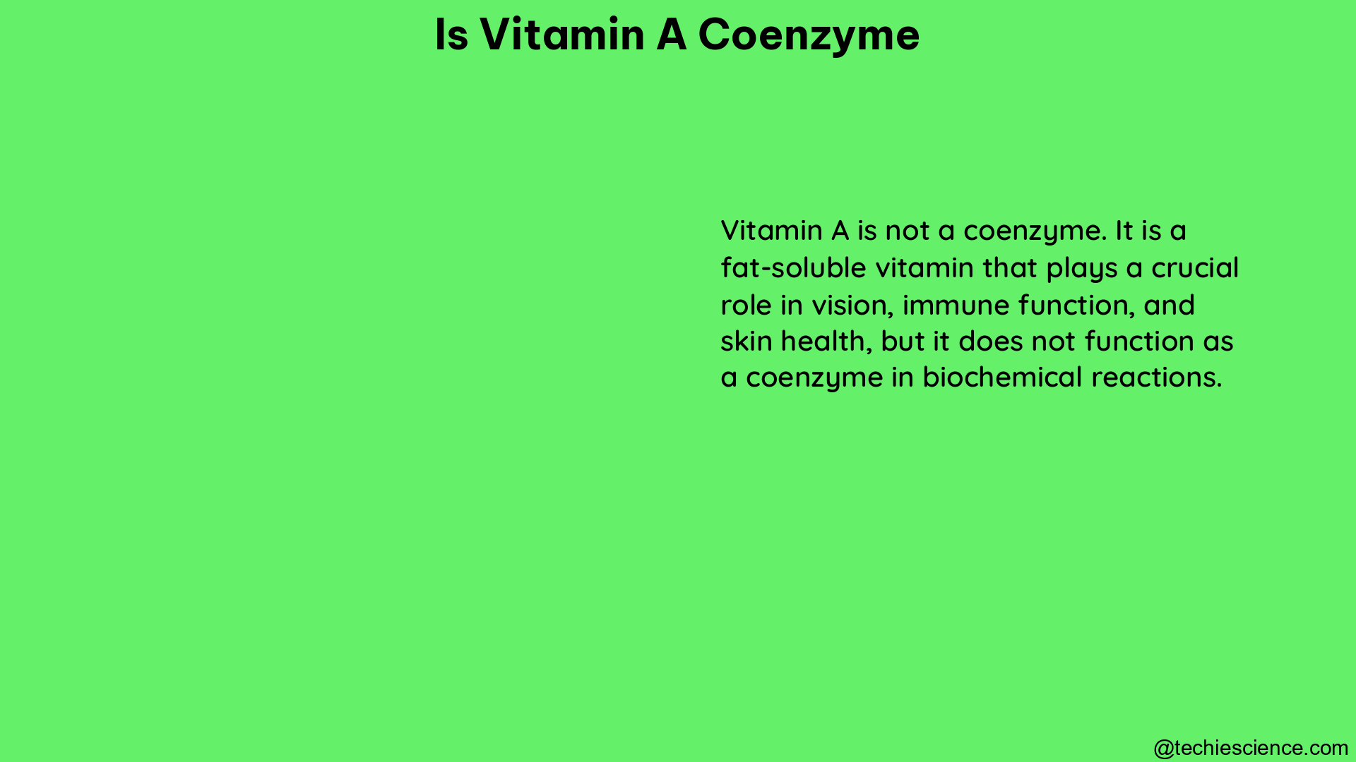 is vitamin a coenzyme