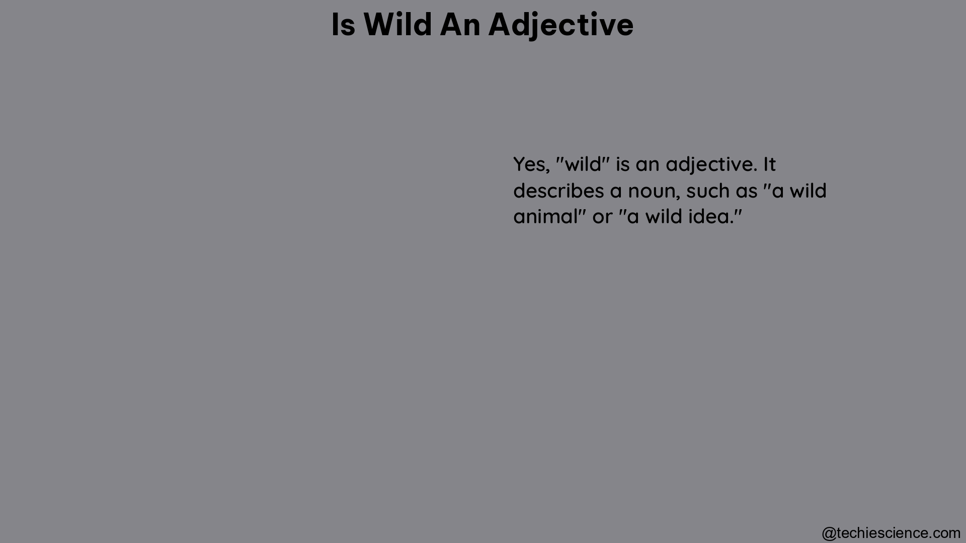 is wild an adjective