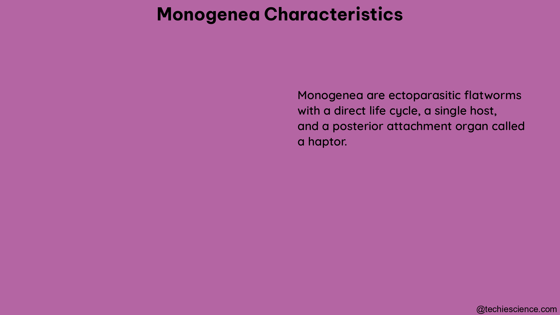 monogenea characteristics