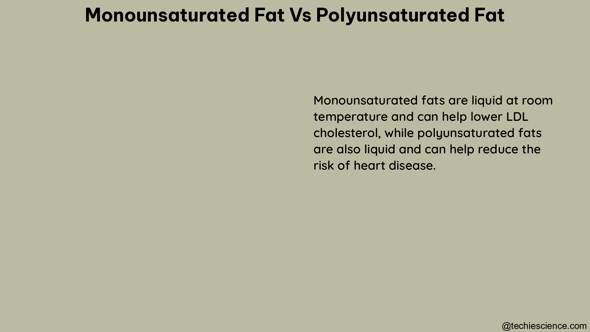 monounsaturated fat vs polyunsaturated fat