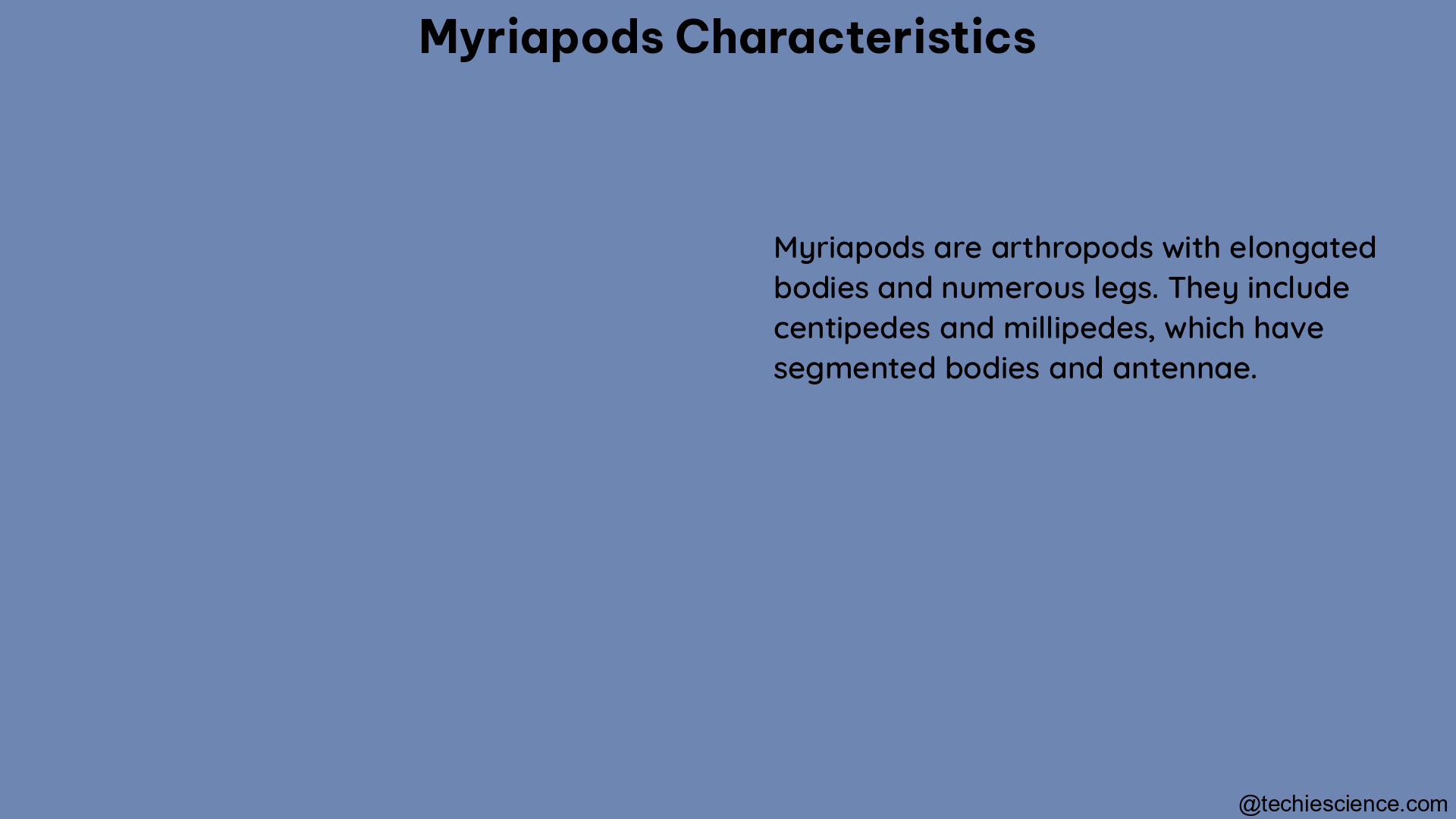 myriapods characteristics