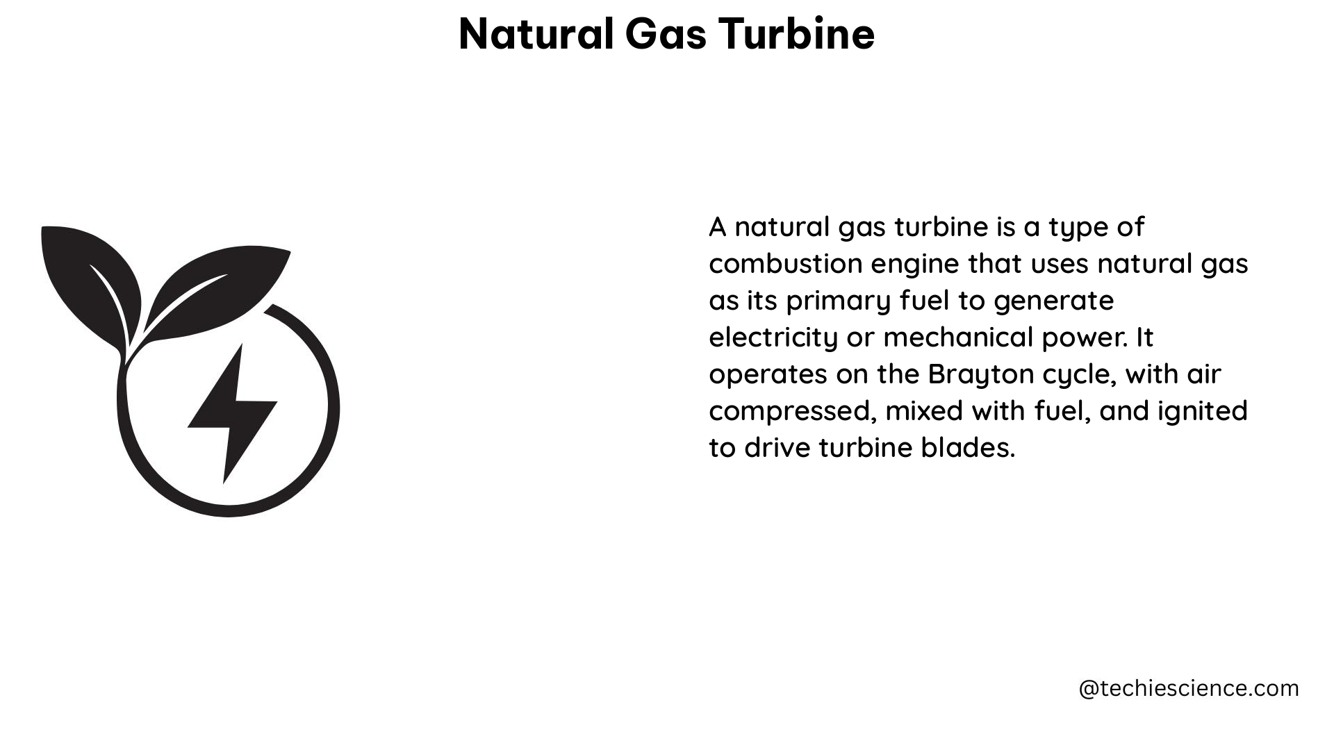 natural gas turbine