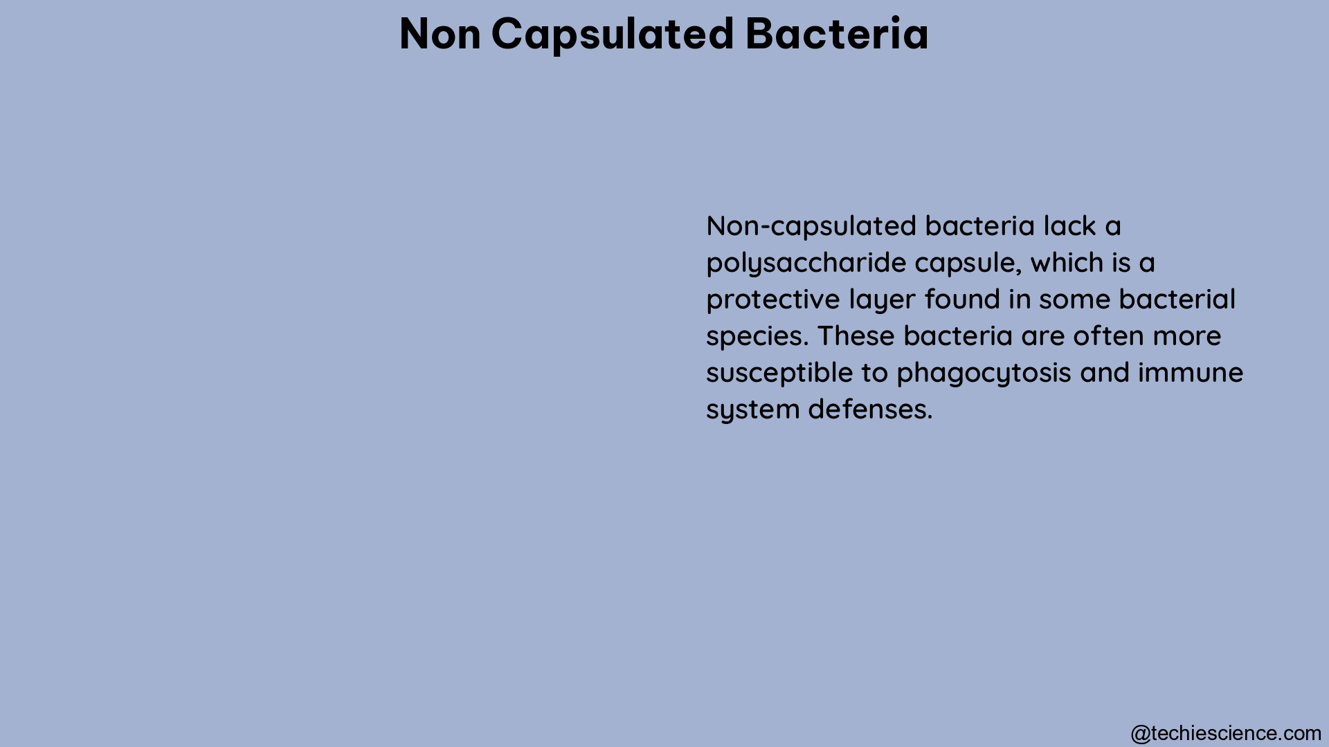 non capsulated bacteria