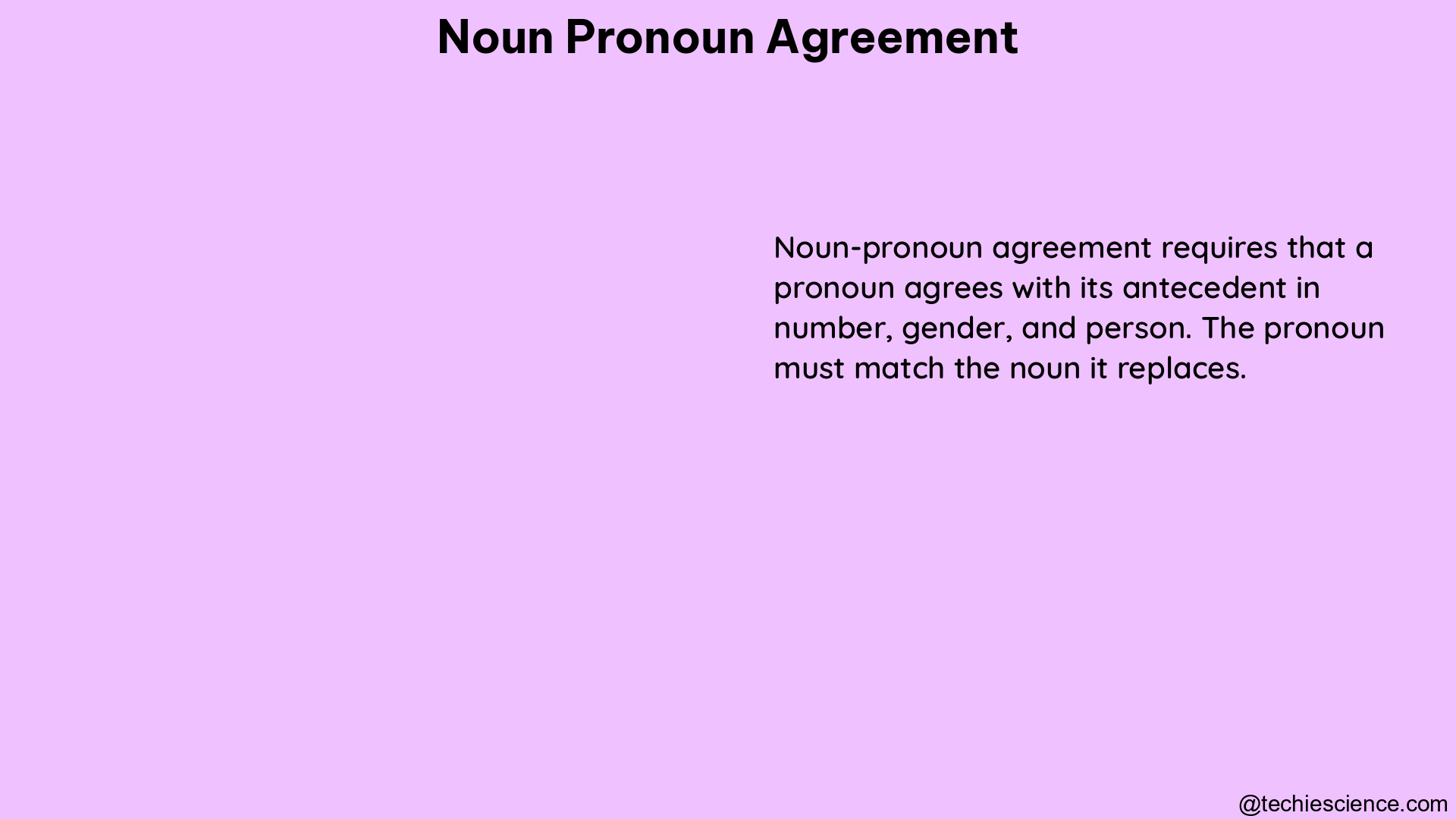 noun pronoun agreement