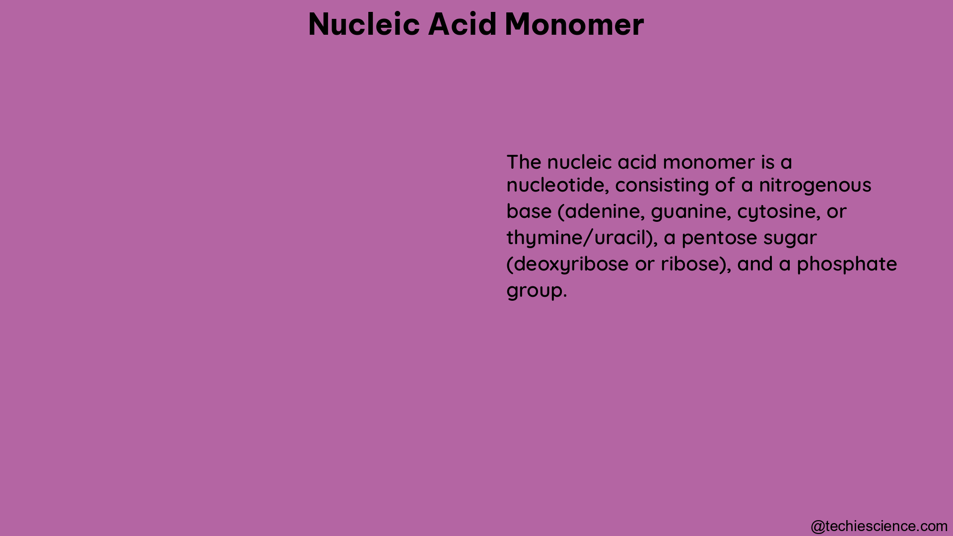 nucleic acid monomer