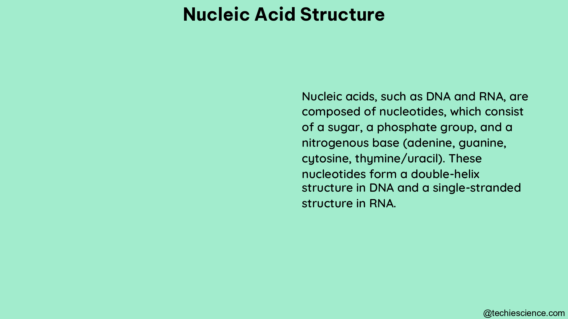 nucleic acid structure