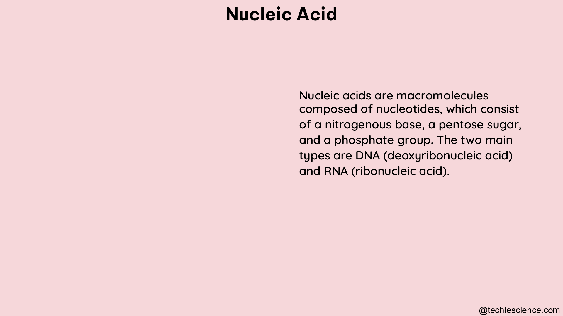 nucleic acid