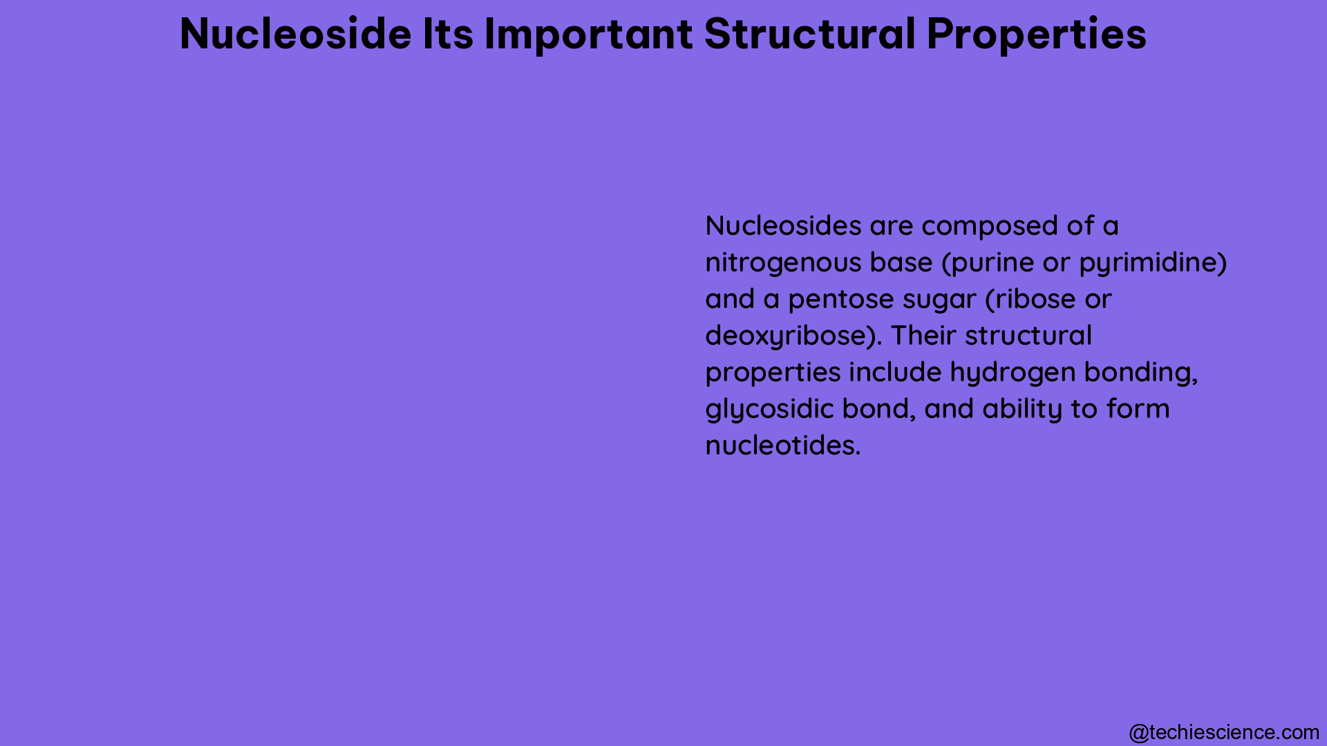 nucleoside its important structural properties