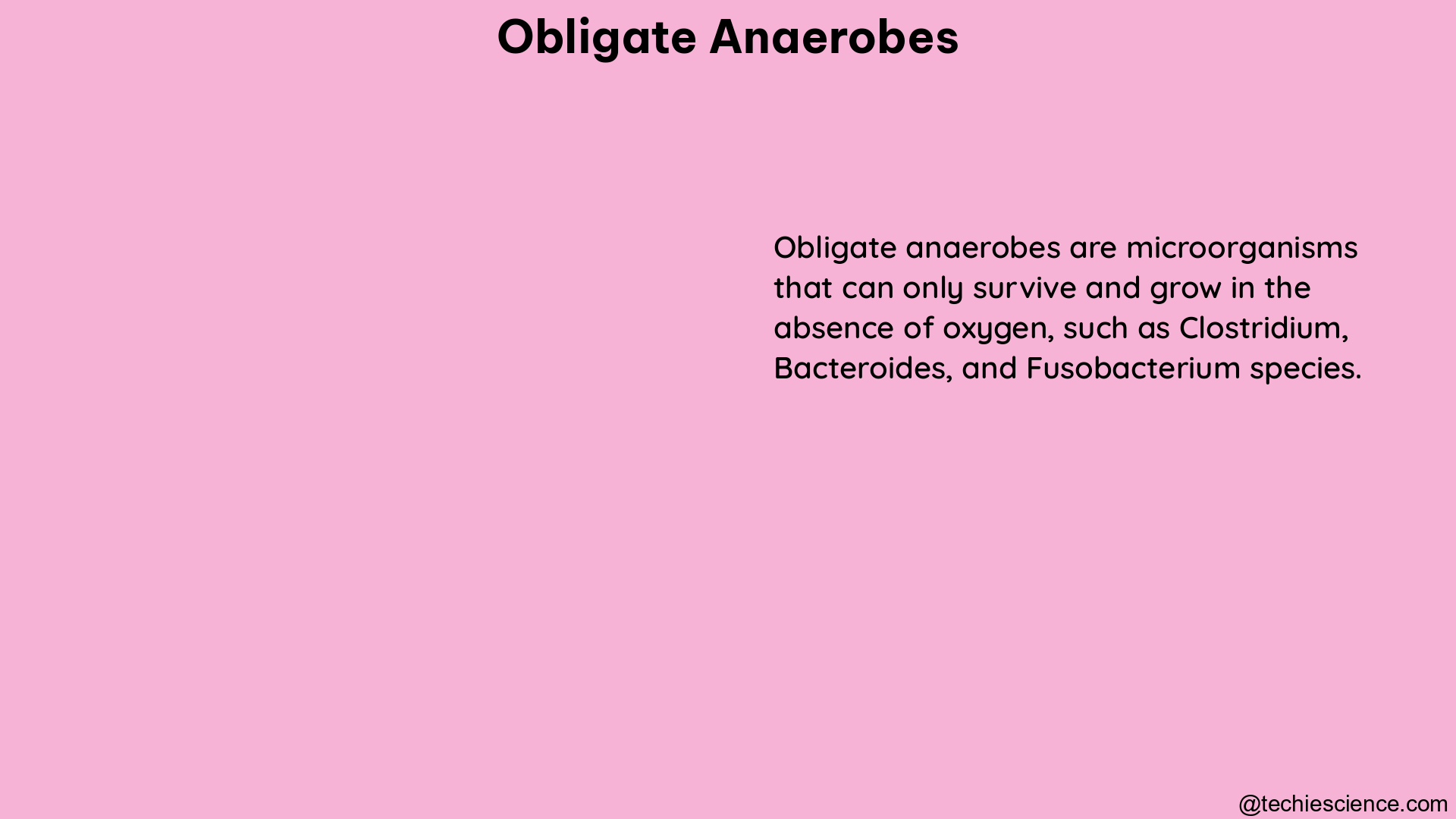 obligate anaerobes