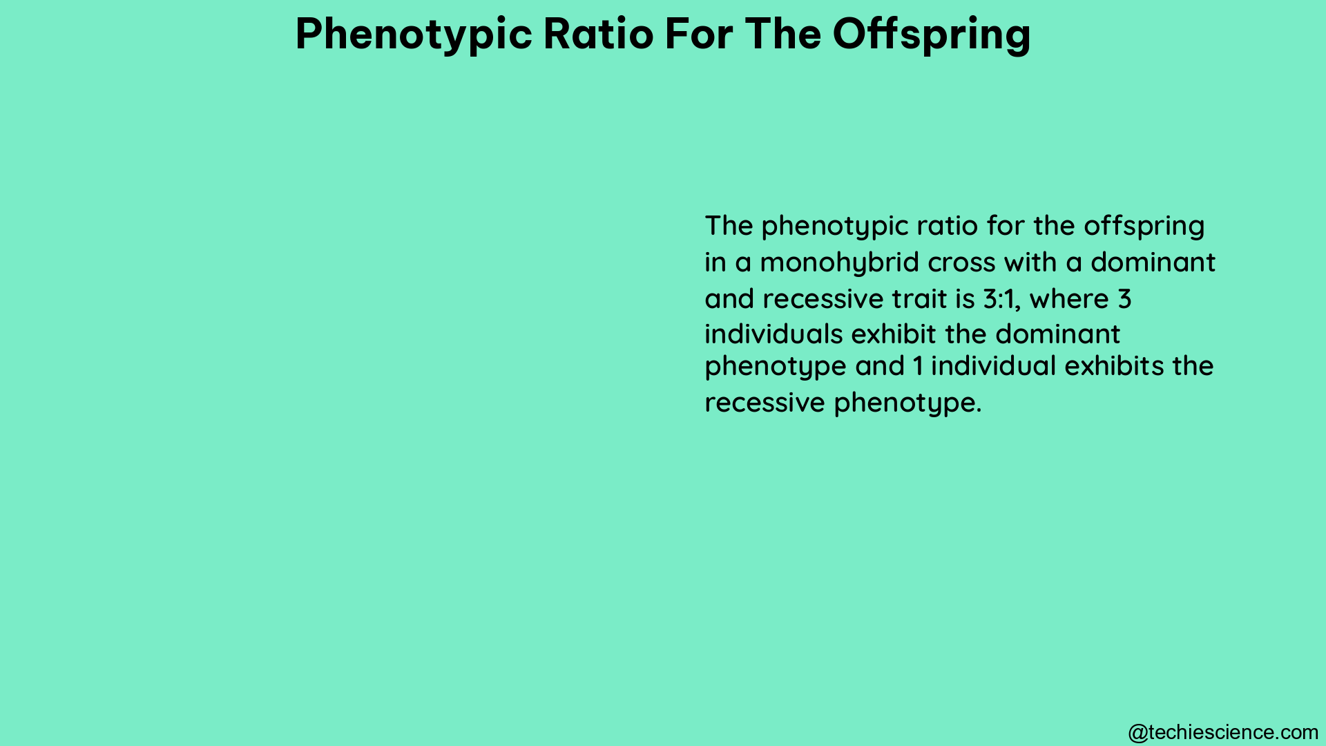 phenotypic ratio for the offspring