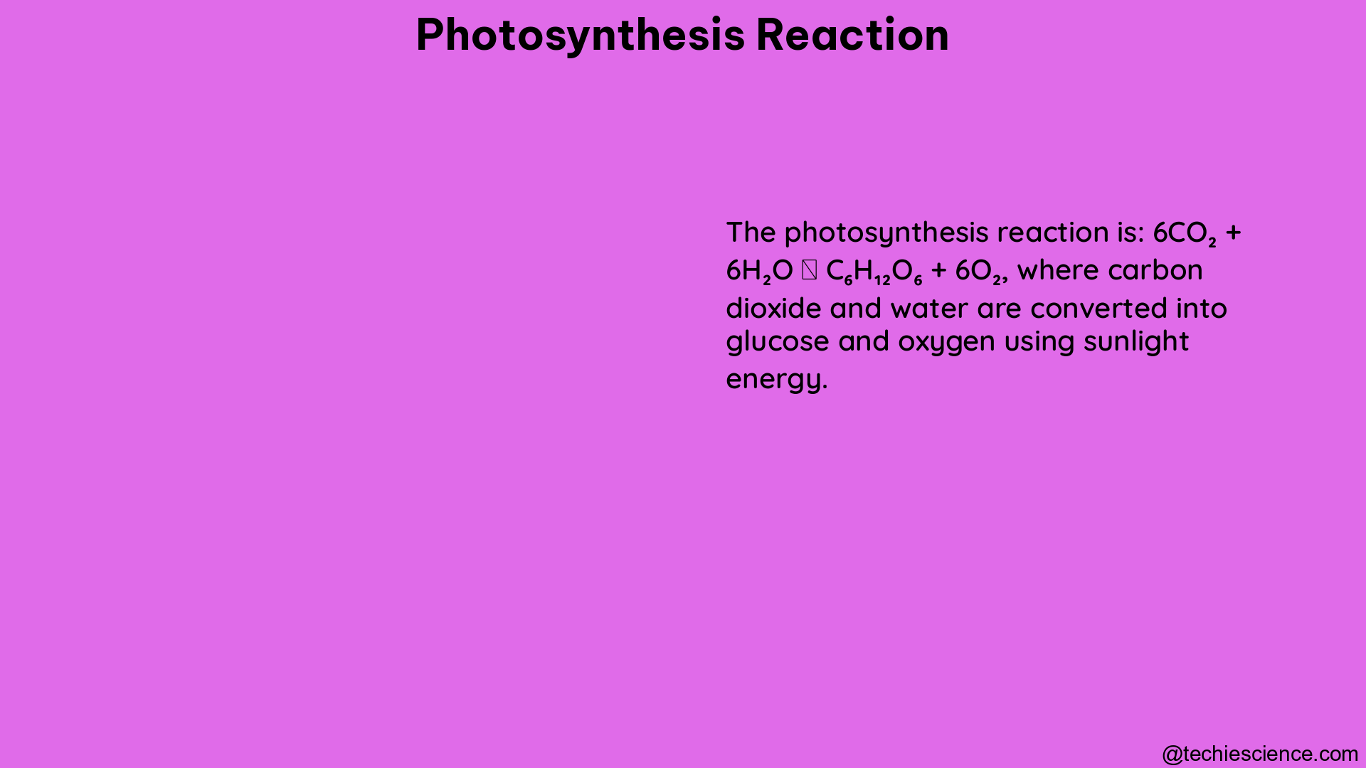 photosynthesis reaction