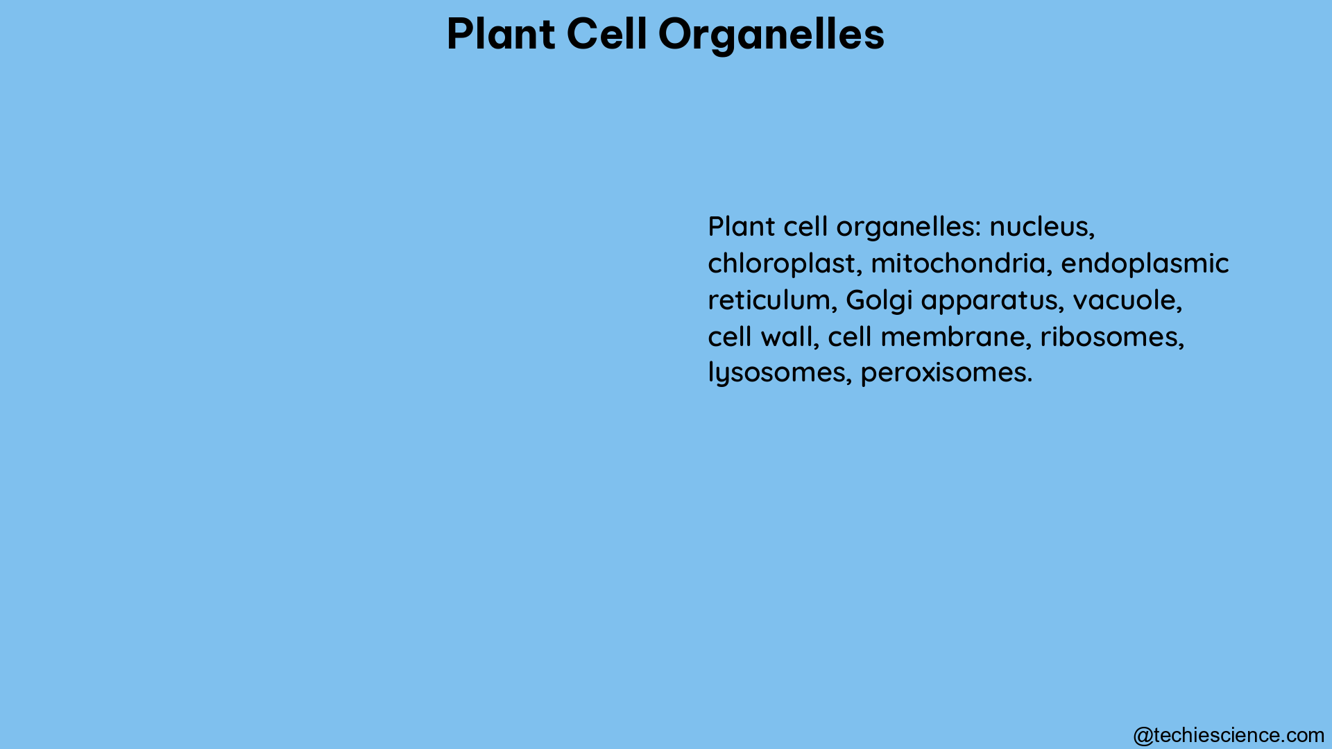 plant cell organelles