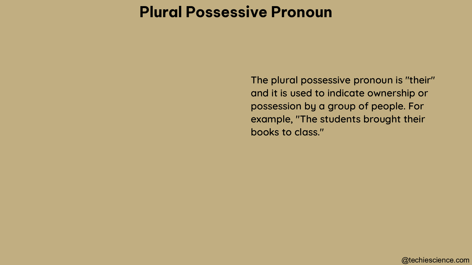 plural possessive pronoun