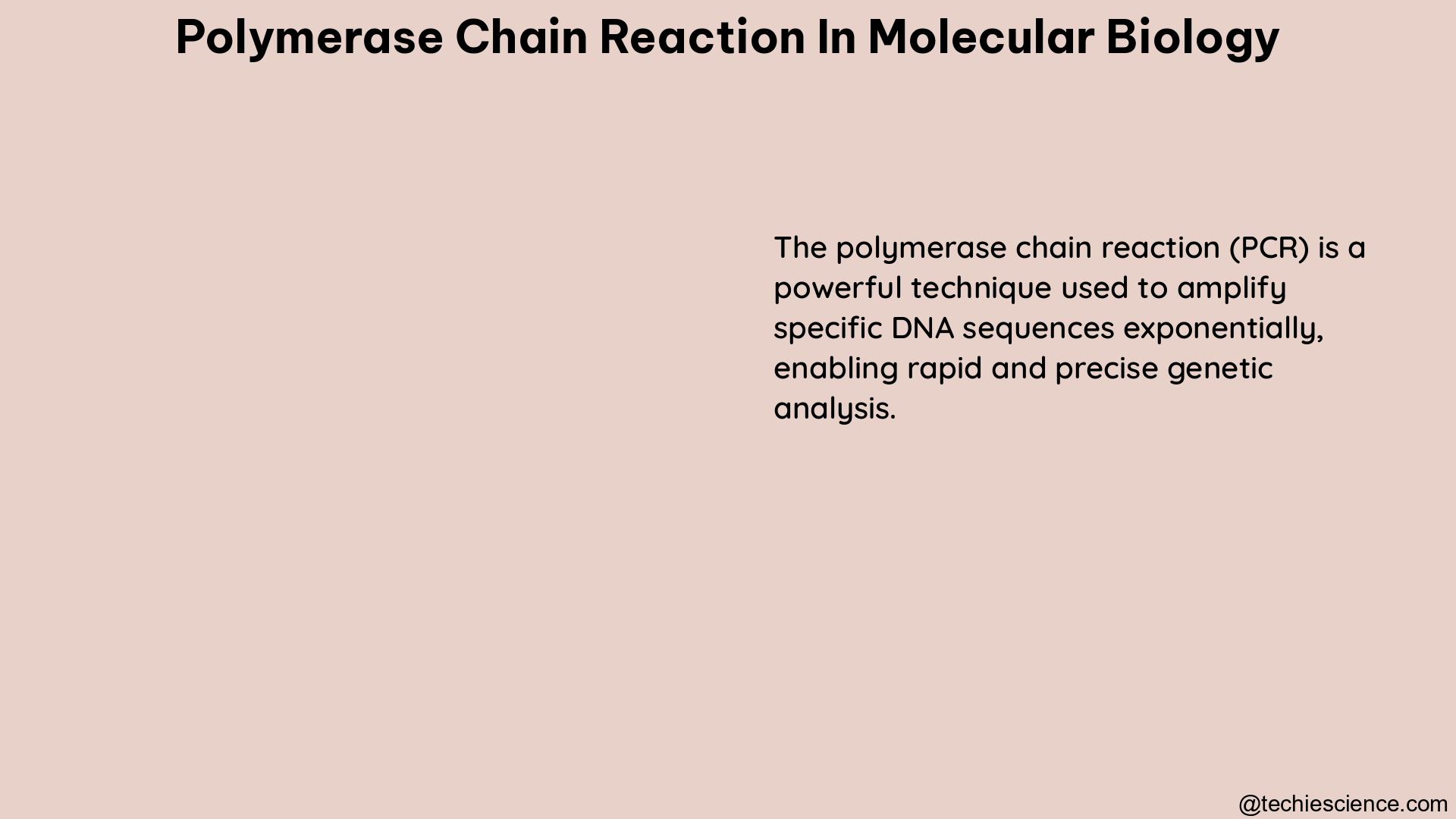 polymerase chain reaction in molecular biology