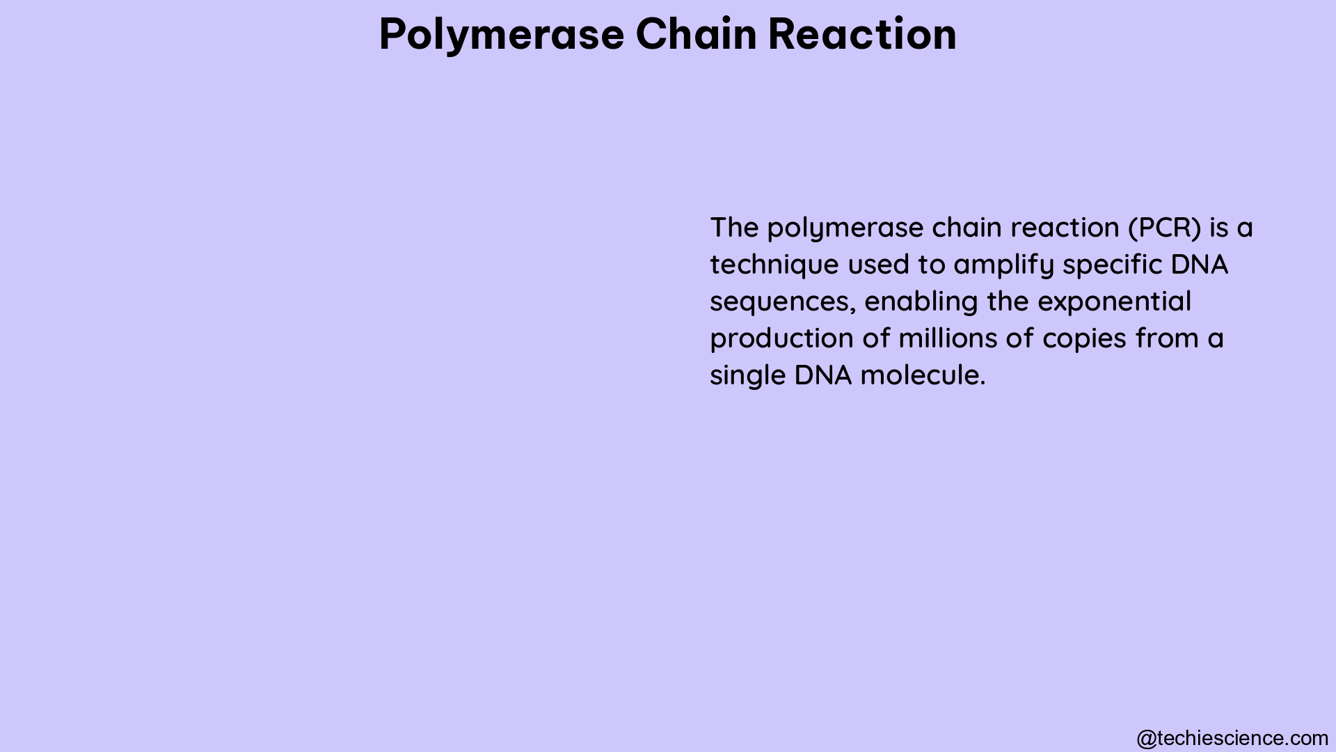 polymerase chain reaction