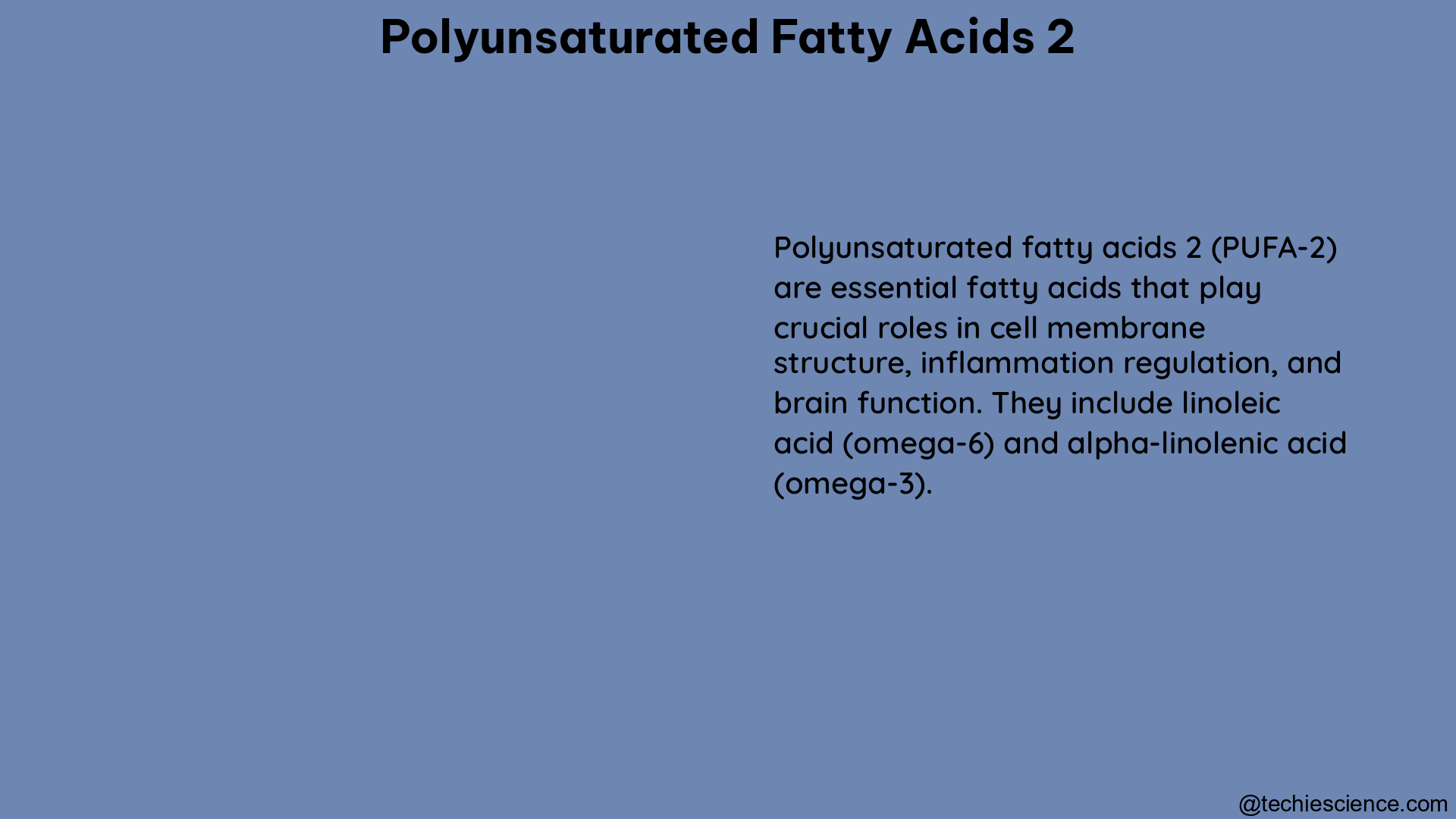 polyunsaturated fatty acids 2