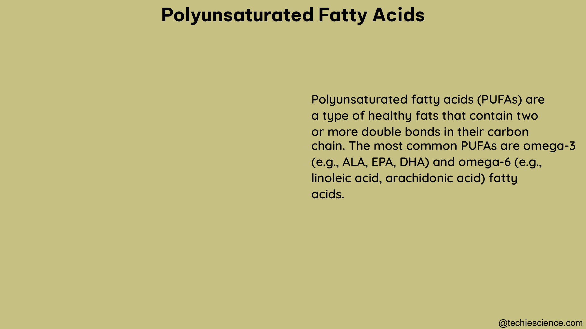 polyunsaturated fatty acids