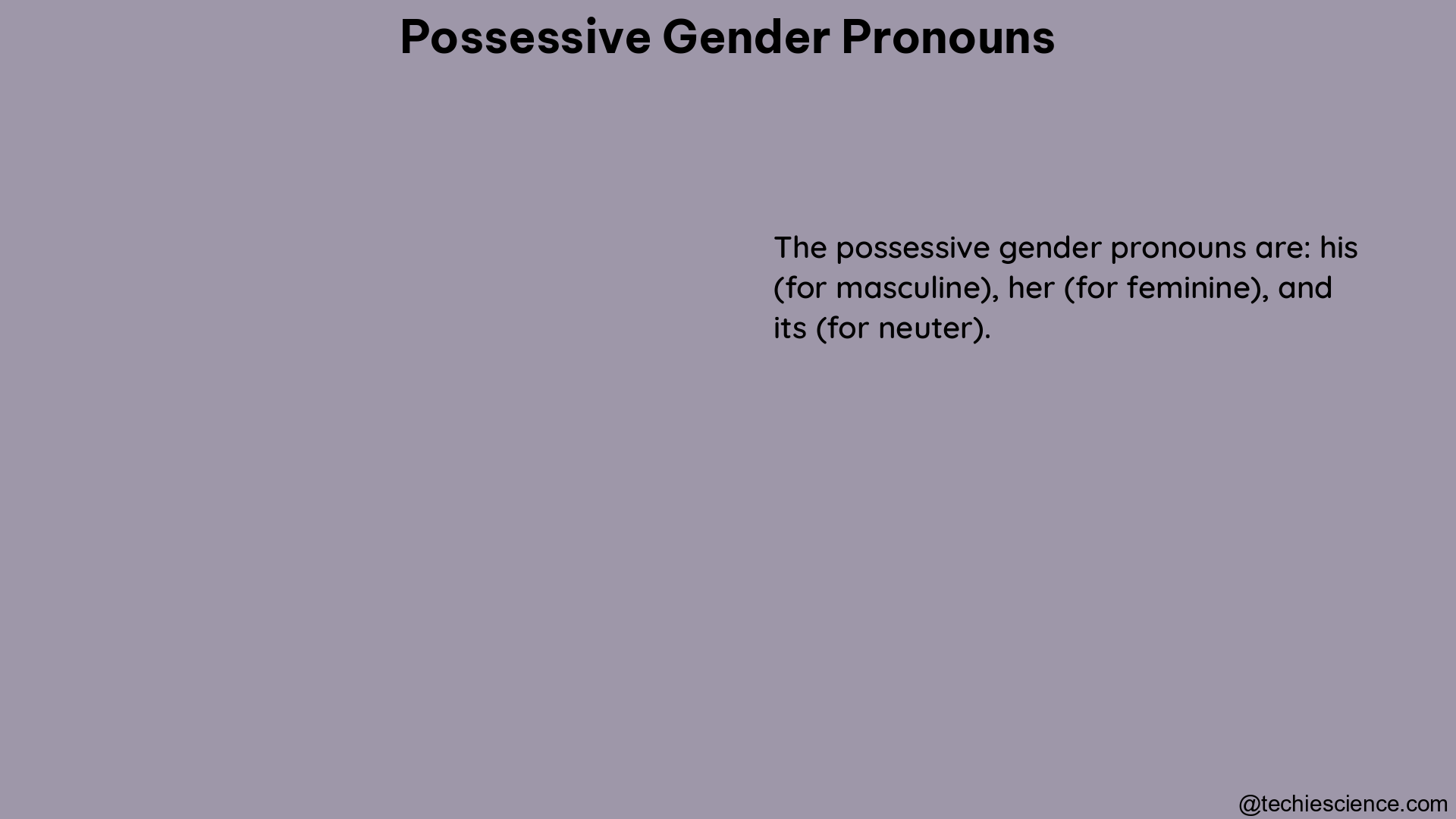 possessive gender pronouns