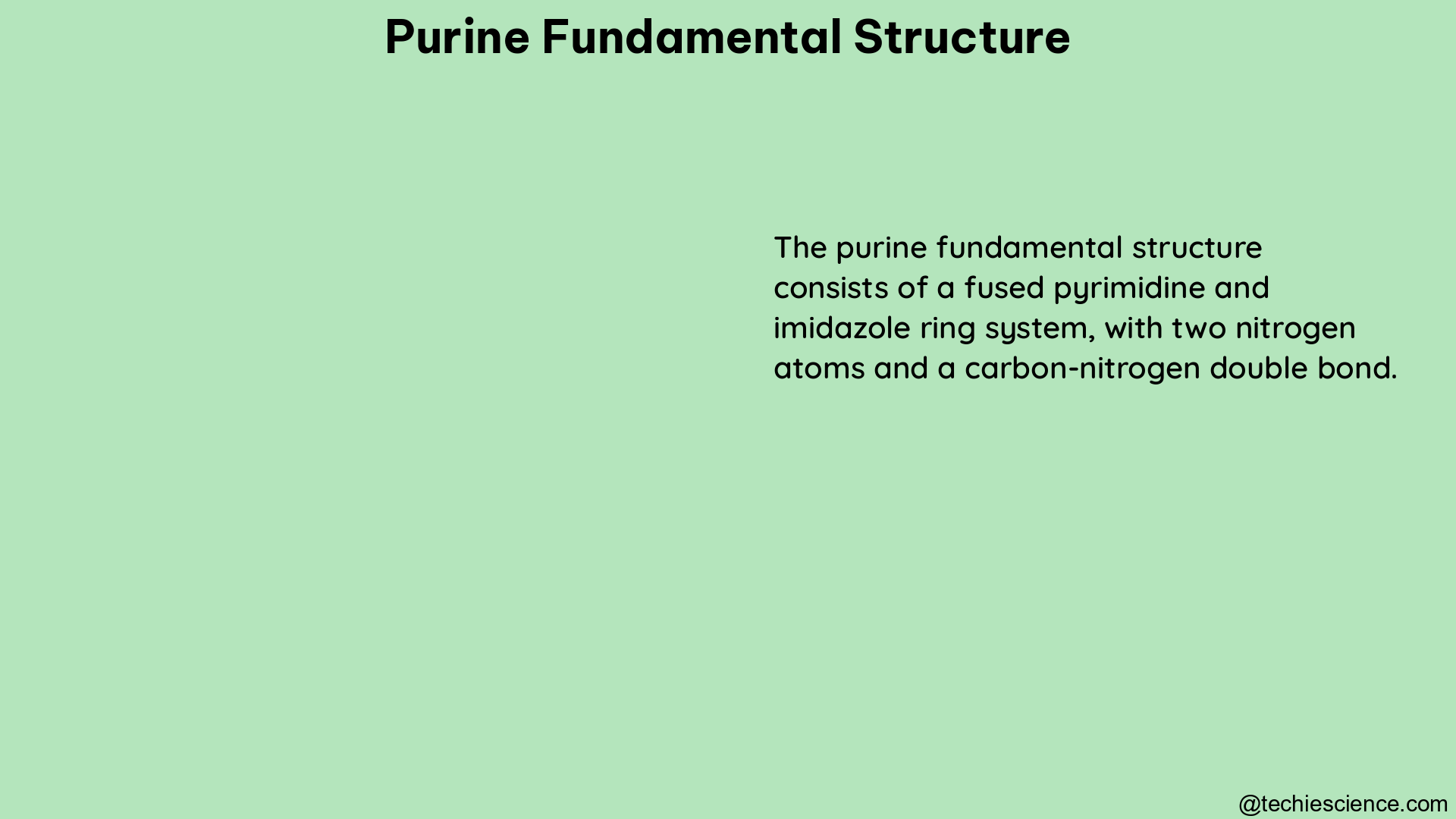 purine fundamental structure