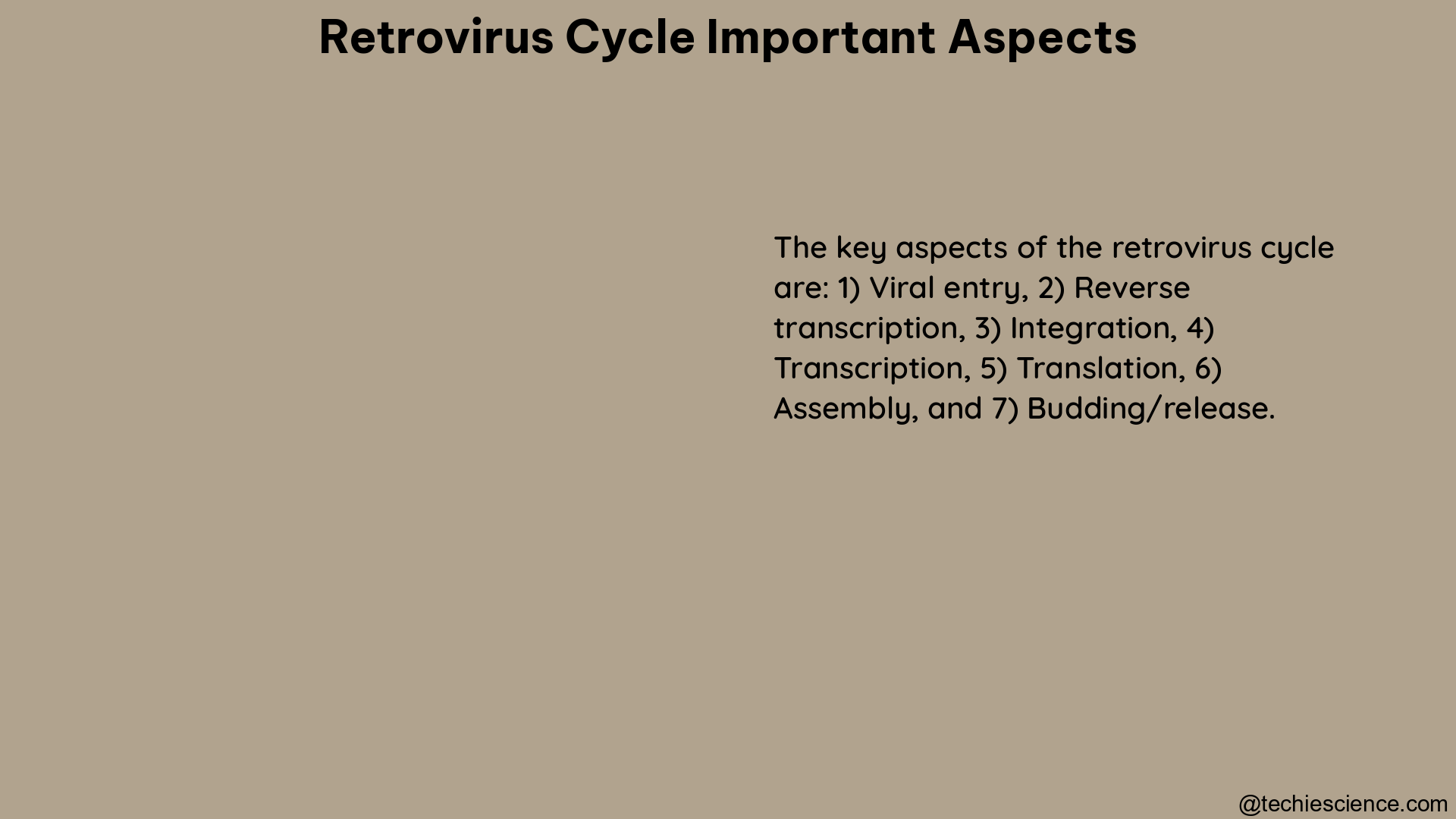 retrovirus cycle important aspects