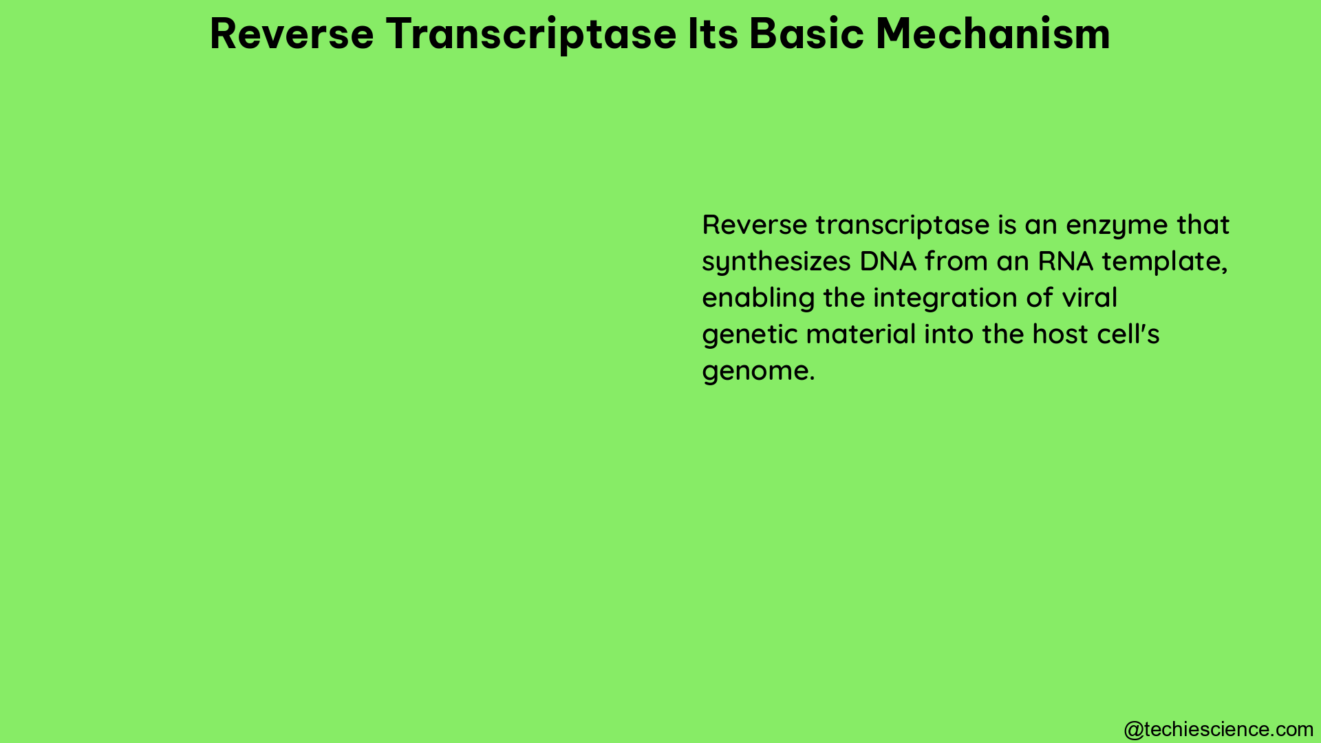 reverse transcriptase its basic mechanism