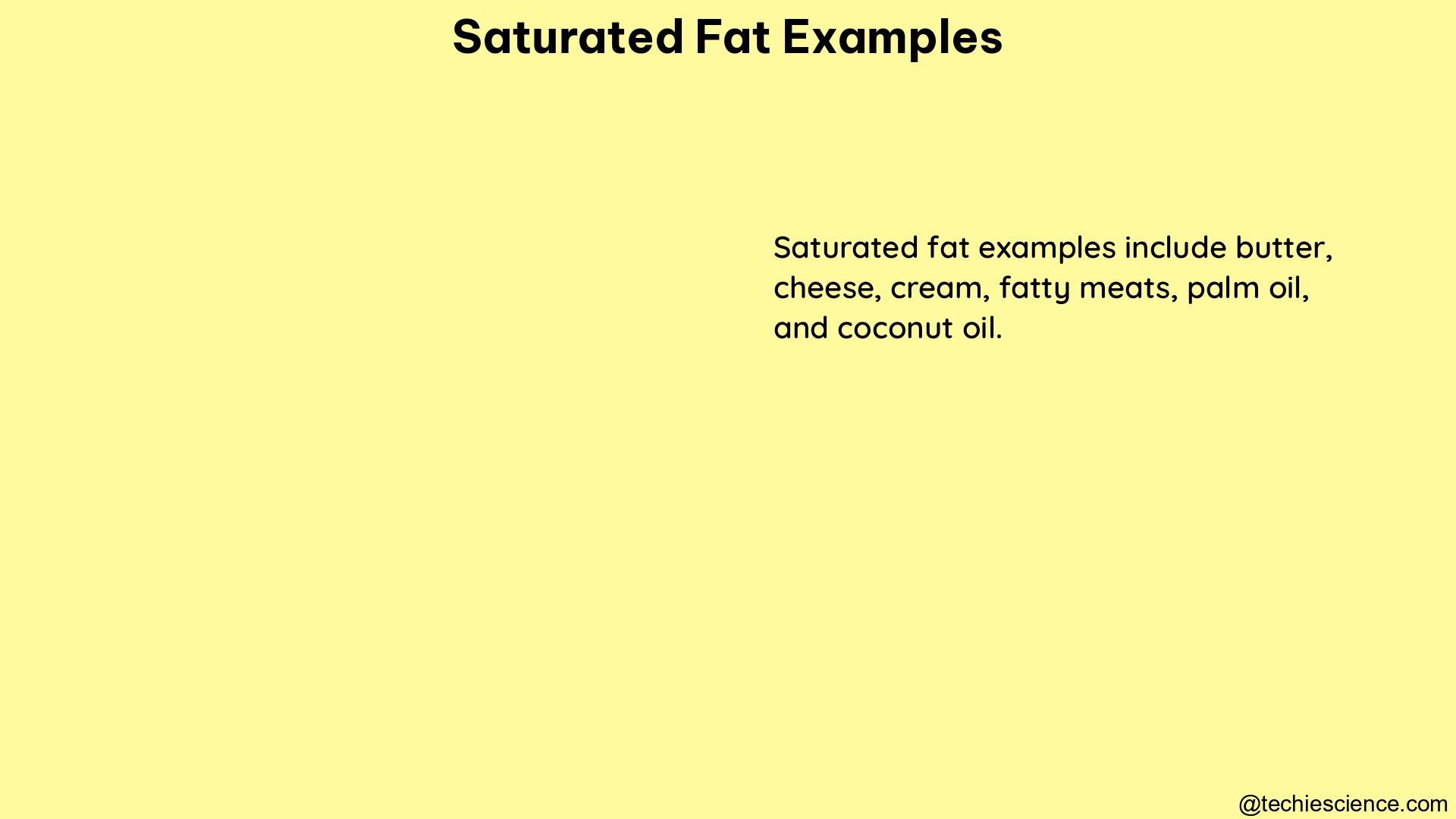 saturated fat examples