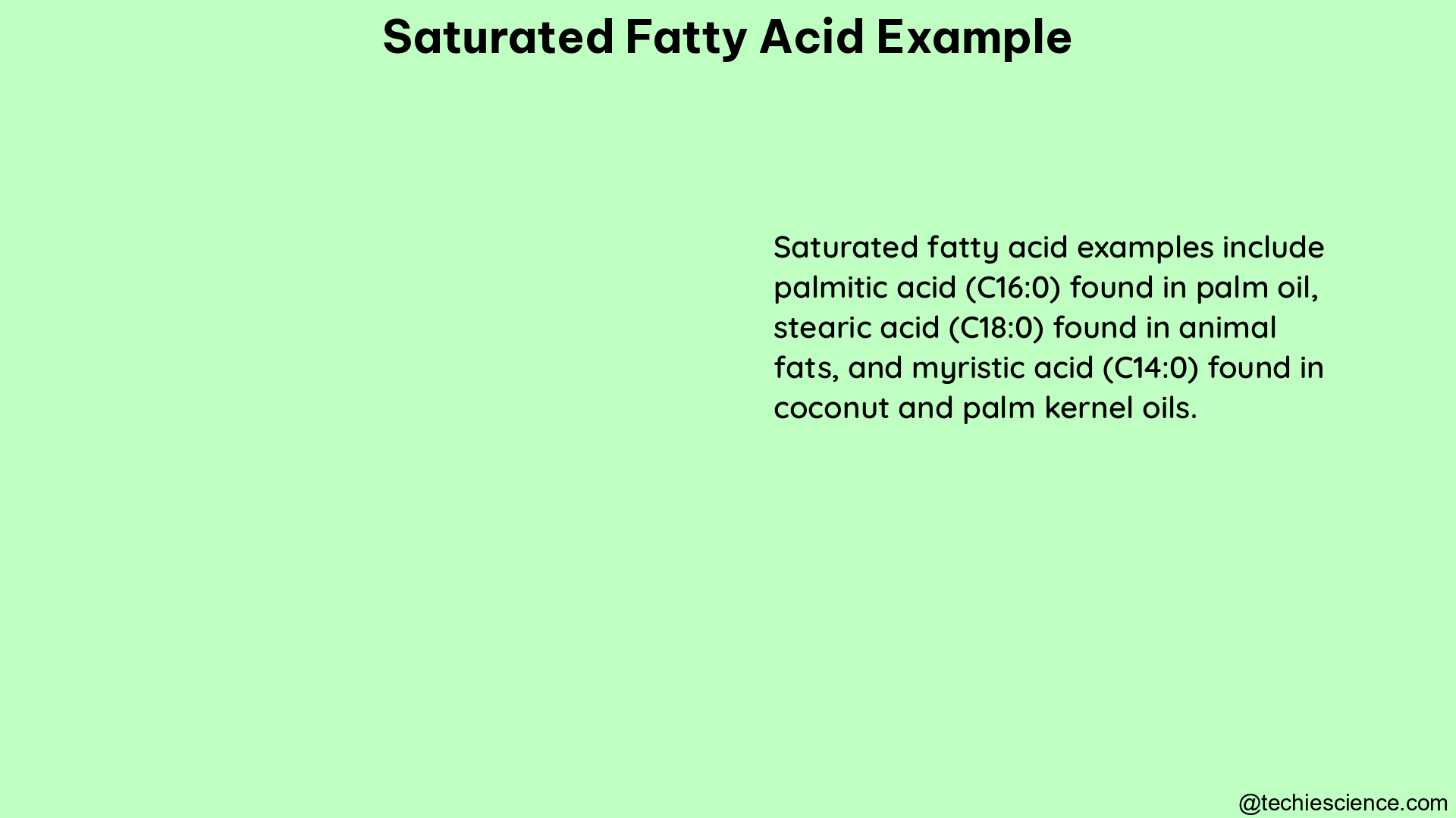 saturated fatty acid example