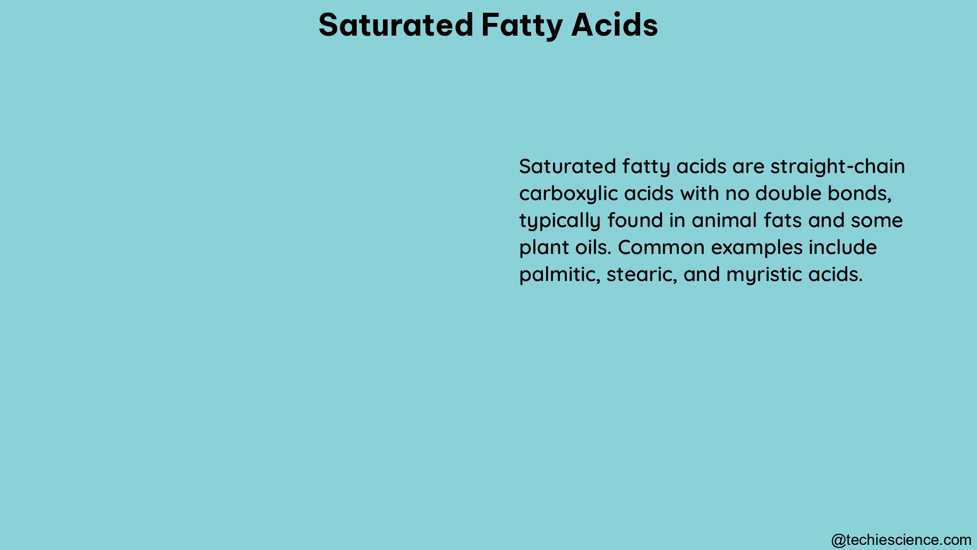 saturated fatty acids