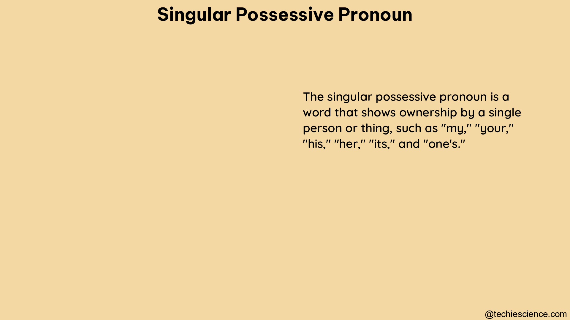 singular possessive pronoun