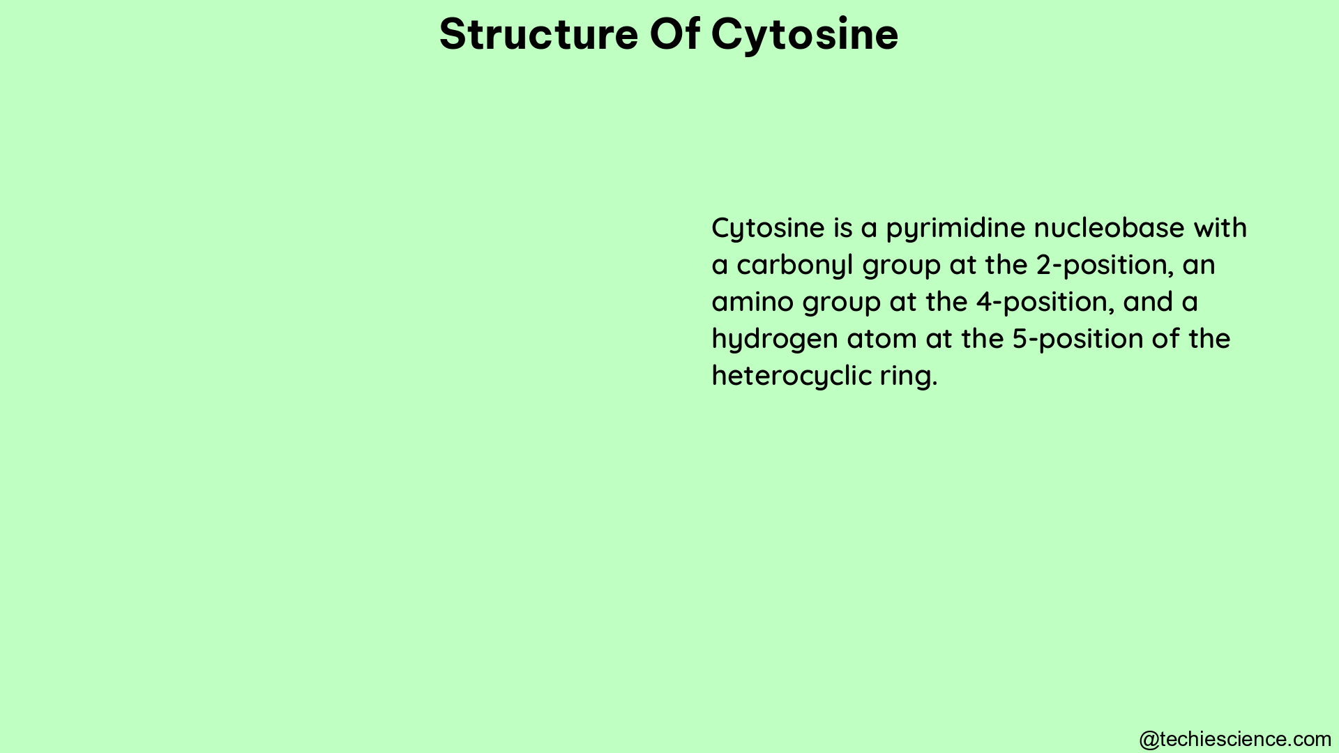 structure of cytosine