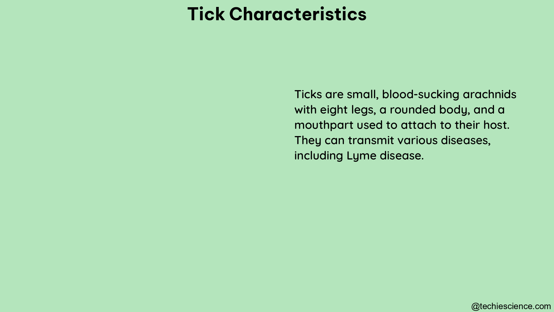 tick characteristics