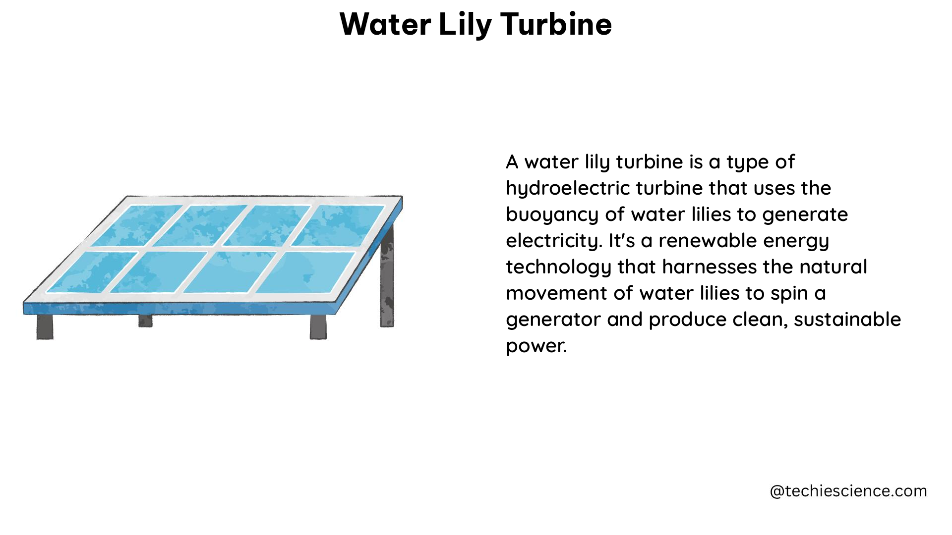 water lily turbine