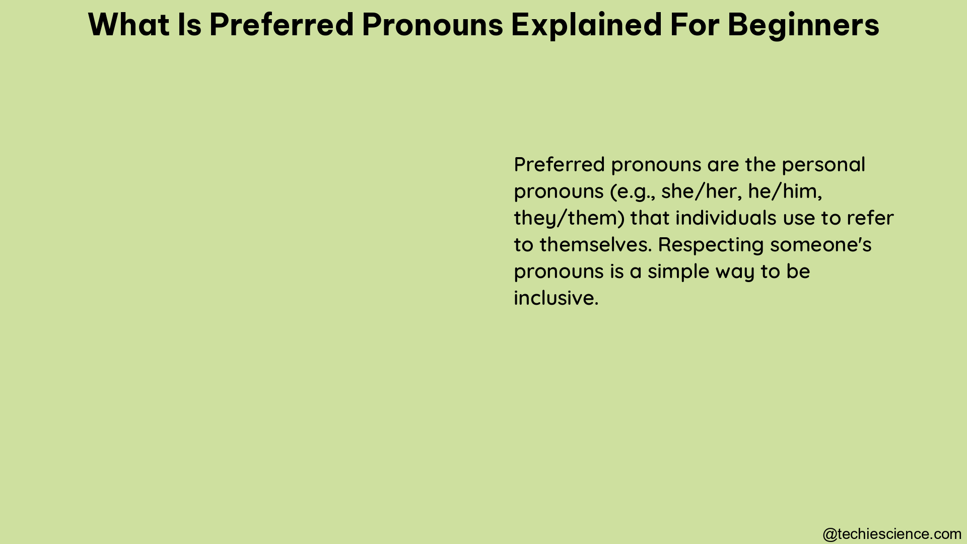 what is preferred pronouns explained for beginners