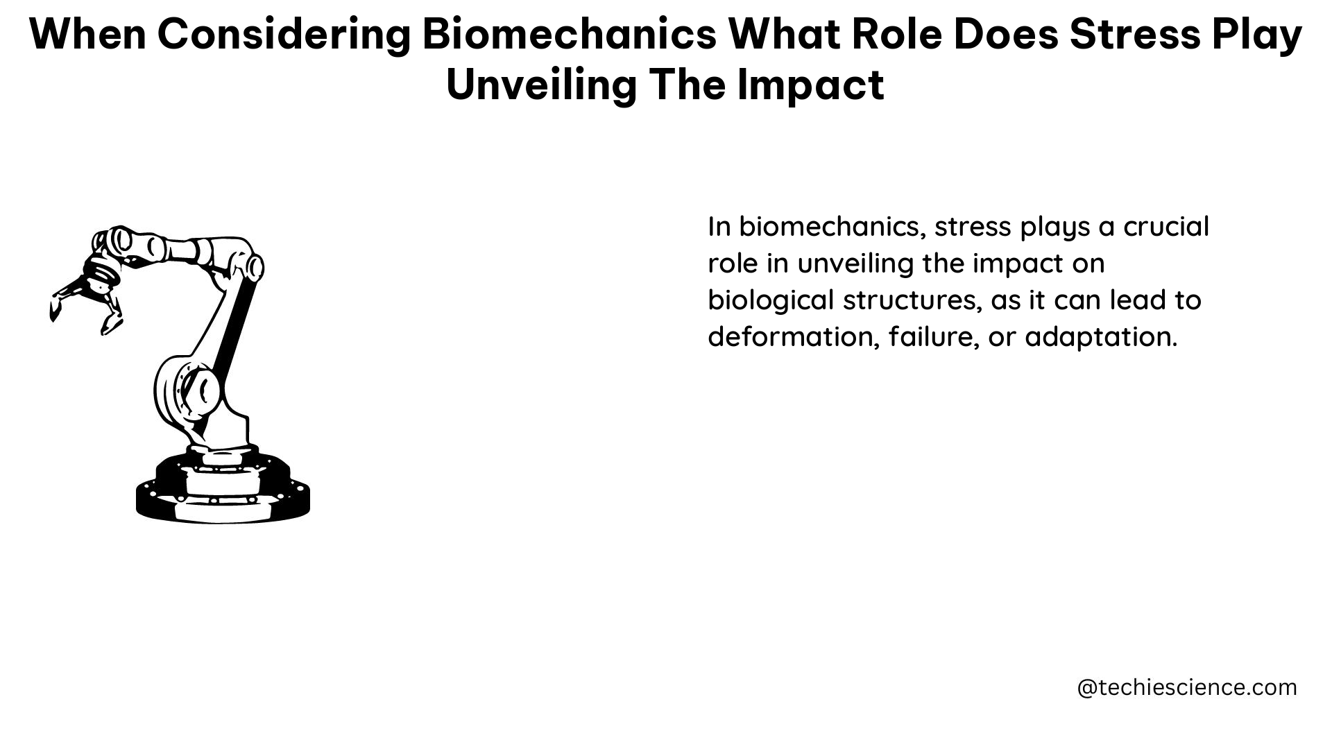 when considering biomechanics what role does stress play unveiling the impact