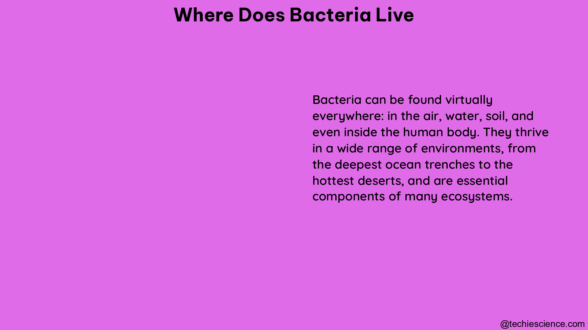 where does bacteria live